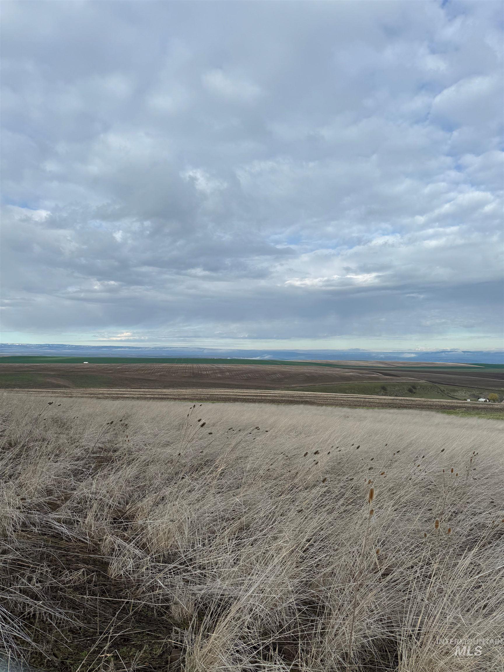 Lot 13A TBD Pheasant Loop Property Photo 1