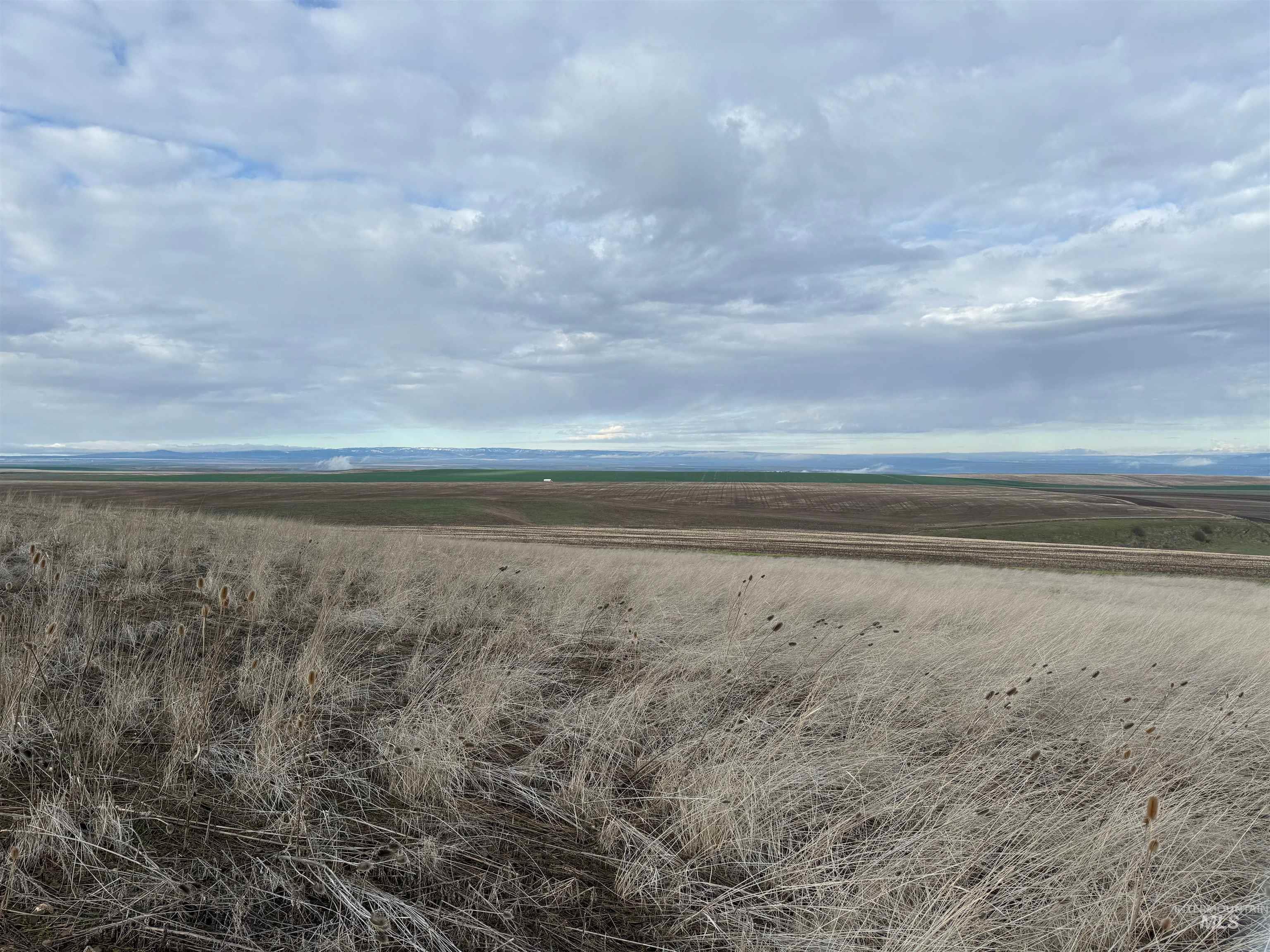 Lot 13a Tbd Pheasant Loop Property Photo 2