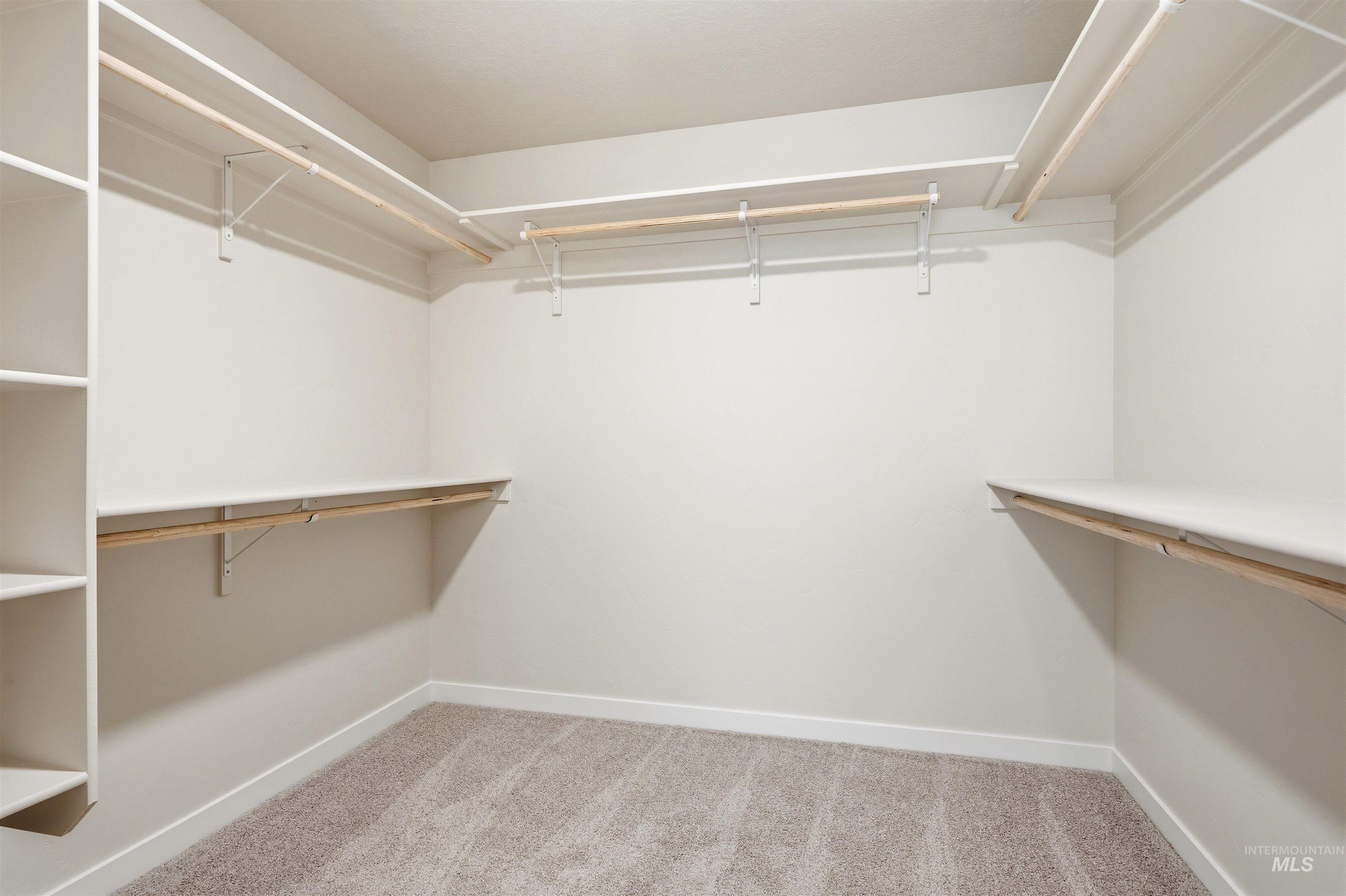 10179 Bellevue Ridge St Property Photo 20