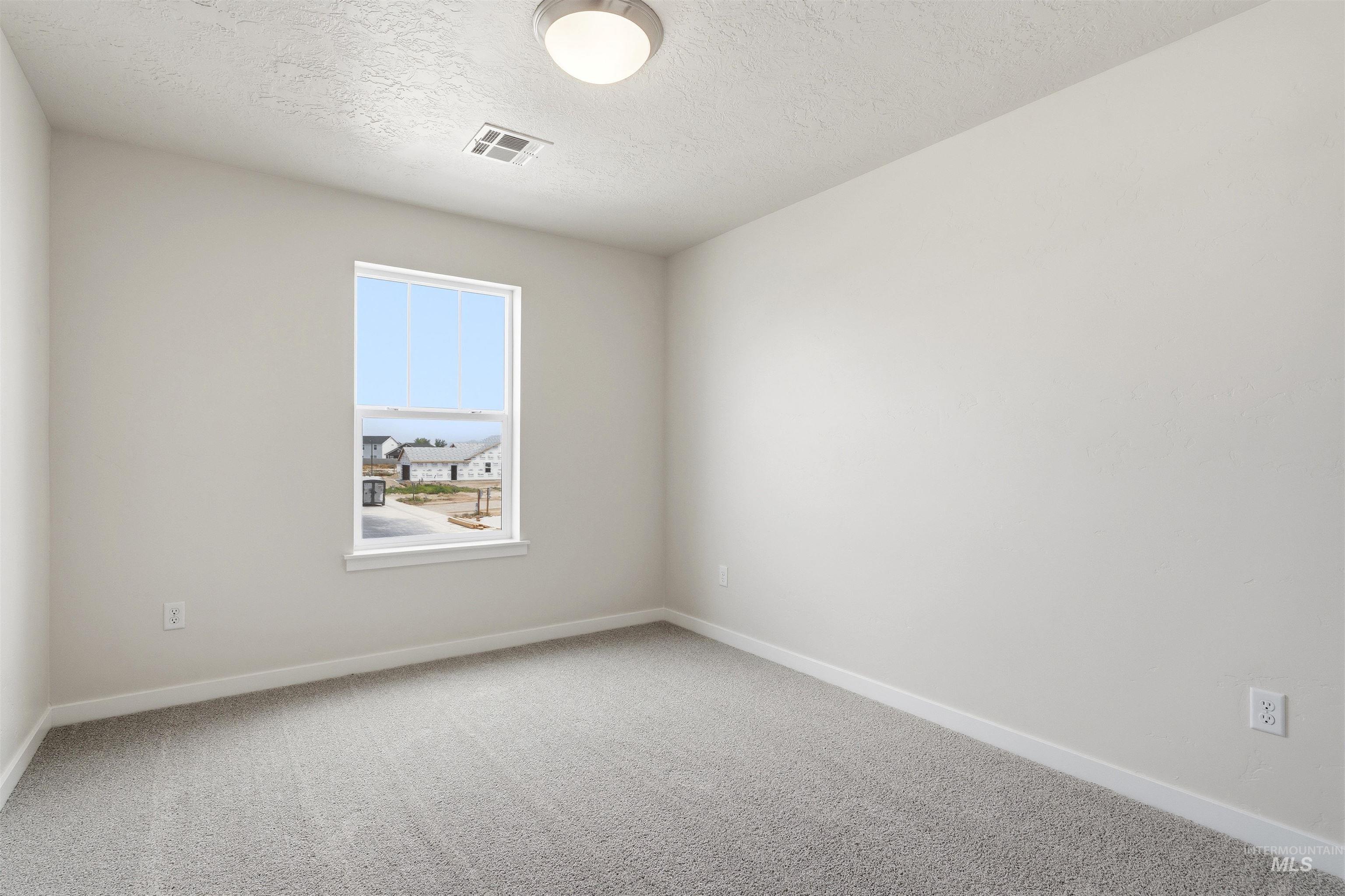 10179 Bellevue Ridge St Property Photo 21