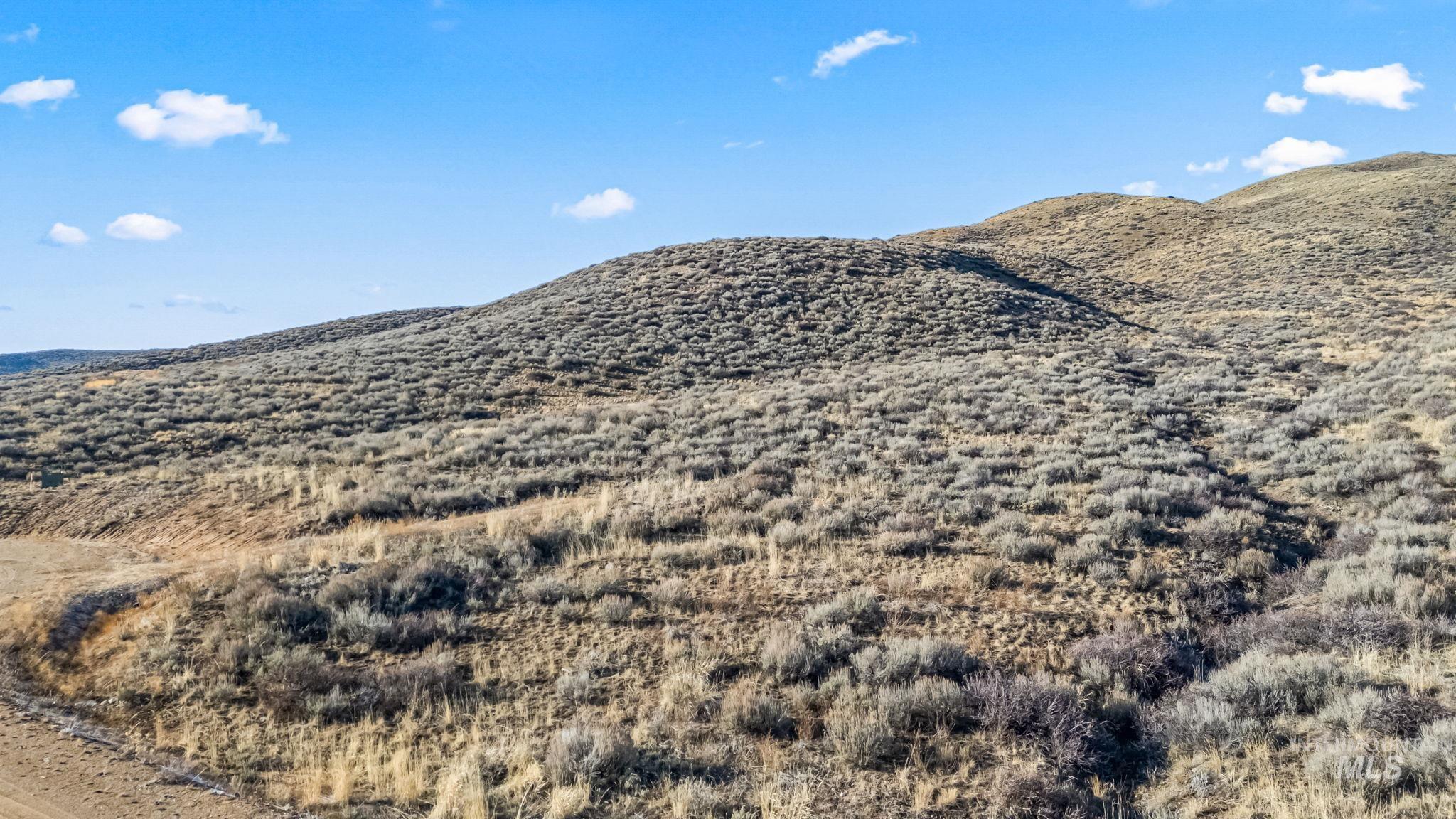 Lot 20 Buena Vista Loop Property Photo 7