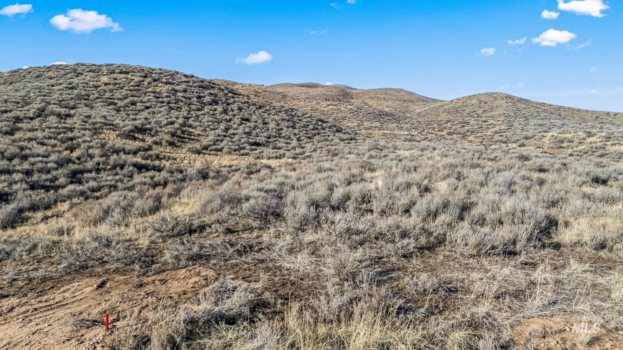 Lot 20 Buena Vista Loop Property Photo 8