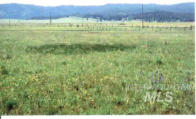 Tbd Bacon Creek Rd. Property Photo 4