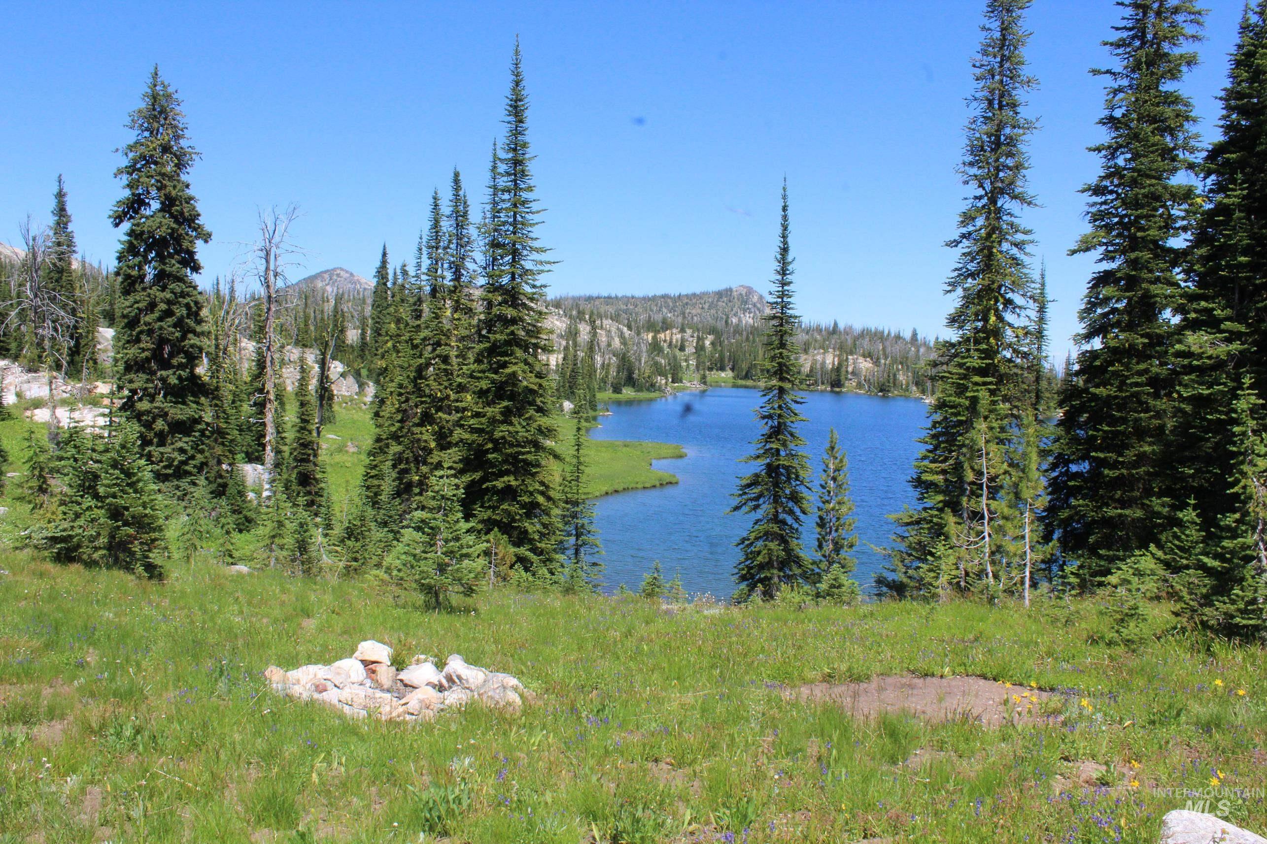 Tbd Buffalo Hump Property Photo 22