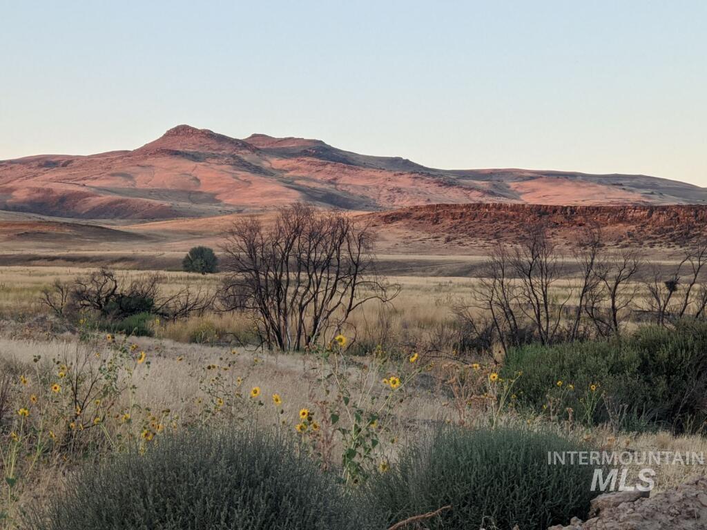 Tbd Indian Hot Springs Property Photo 1