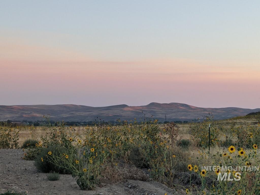 Tbd Indian Hot Springs Property Photo 2