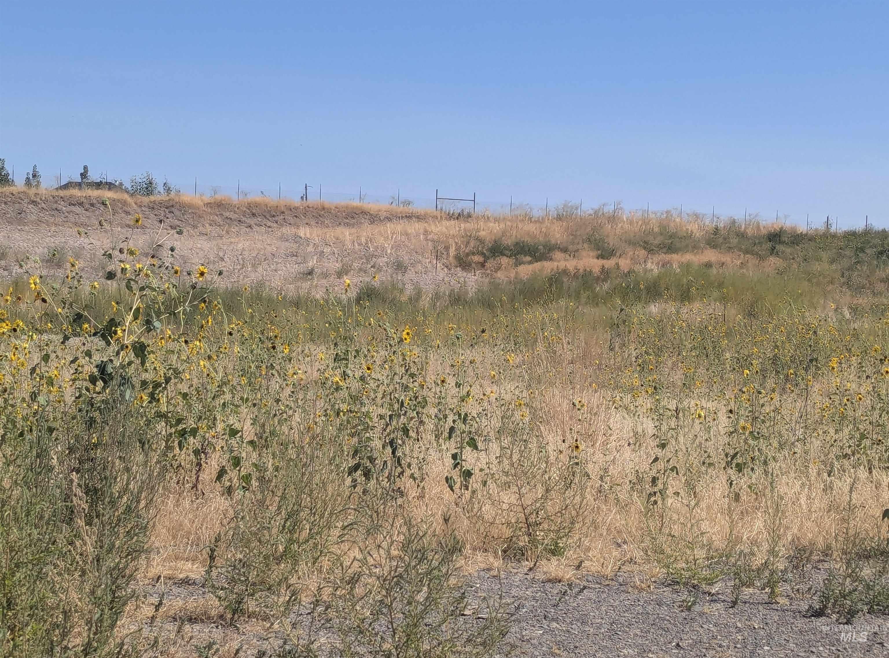 Tbd Indian Hot Springs Property Photo 3