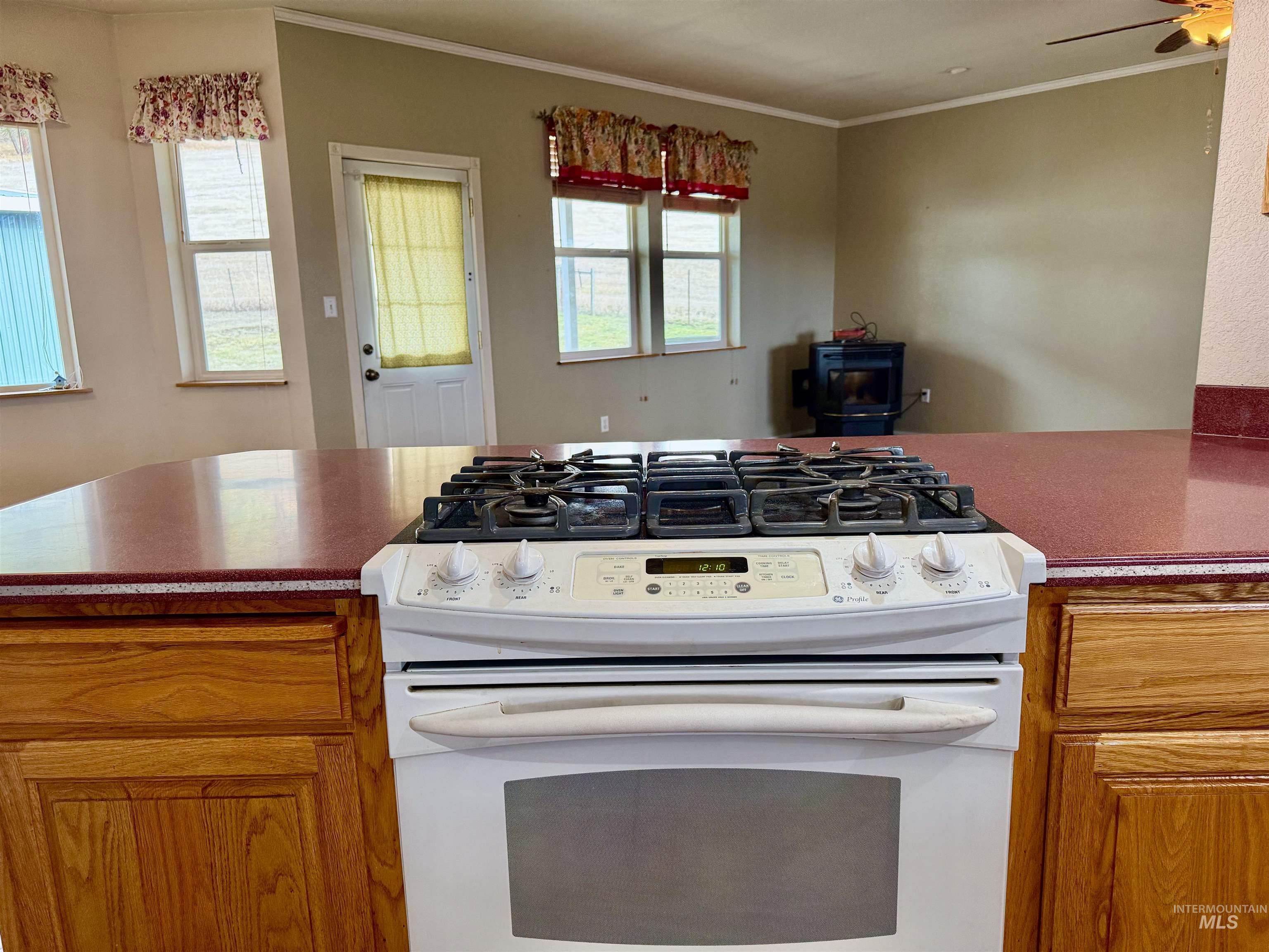 103 Llama Lane Property Photo 10
