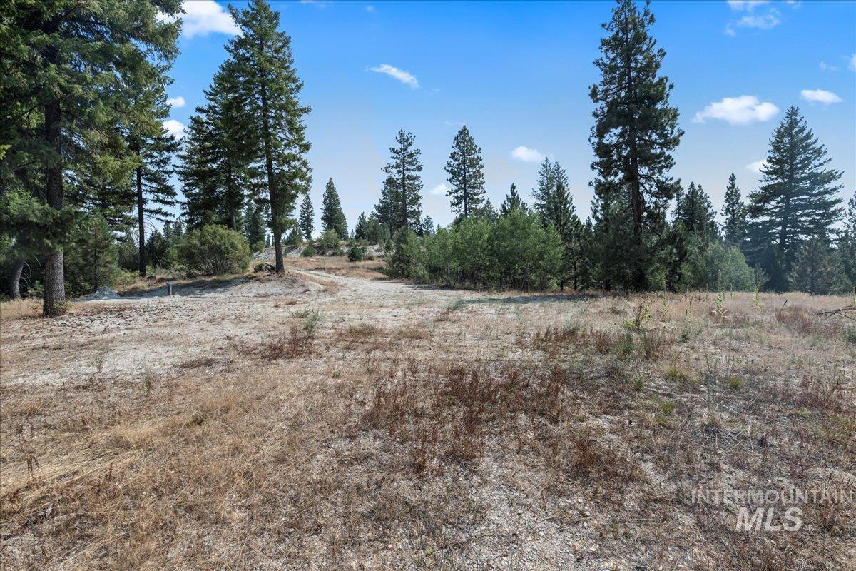 100 Coit Drive Property Photo 13
