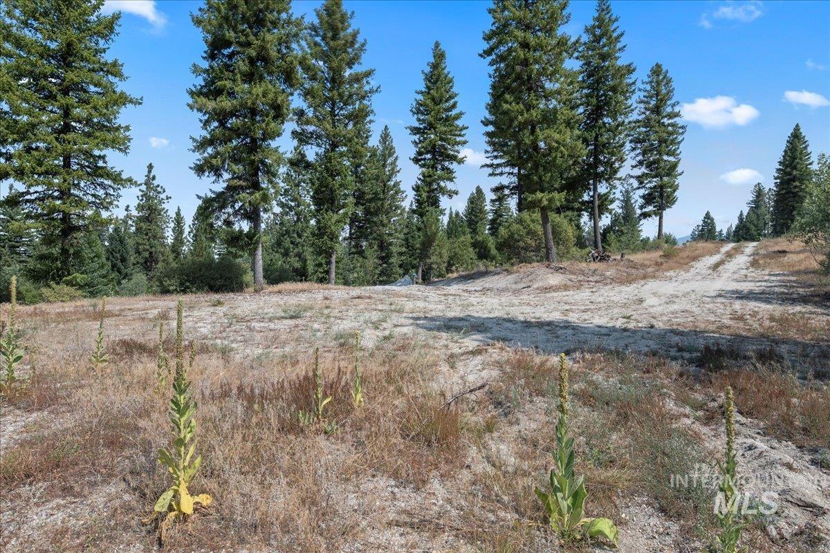 100 Coit Drive Property Photo 14