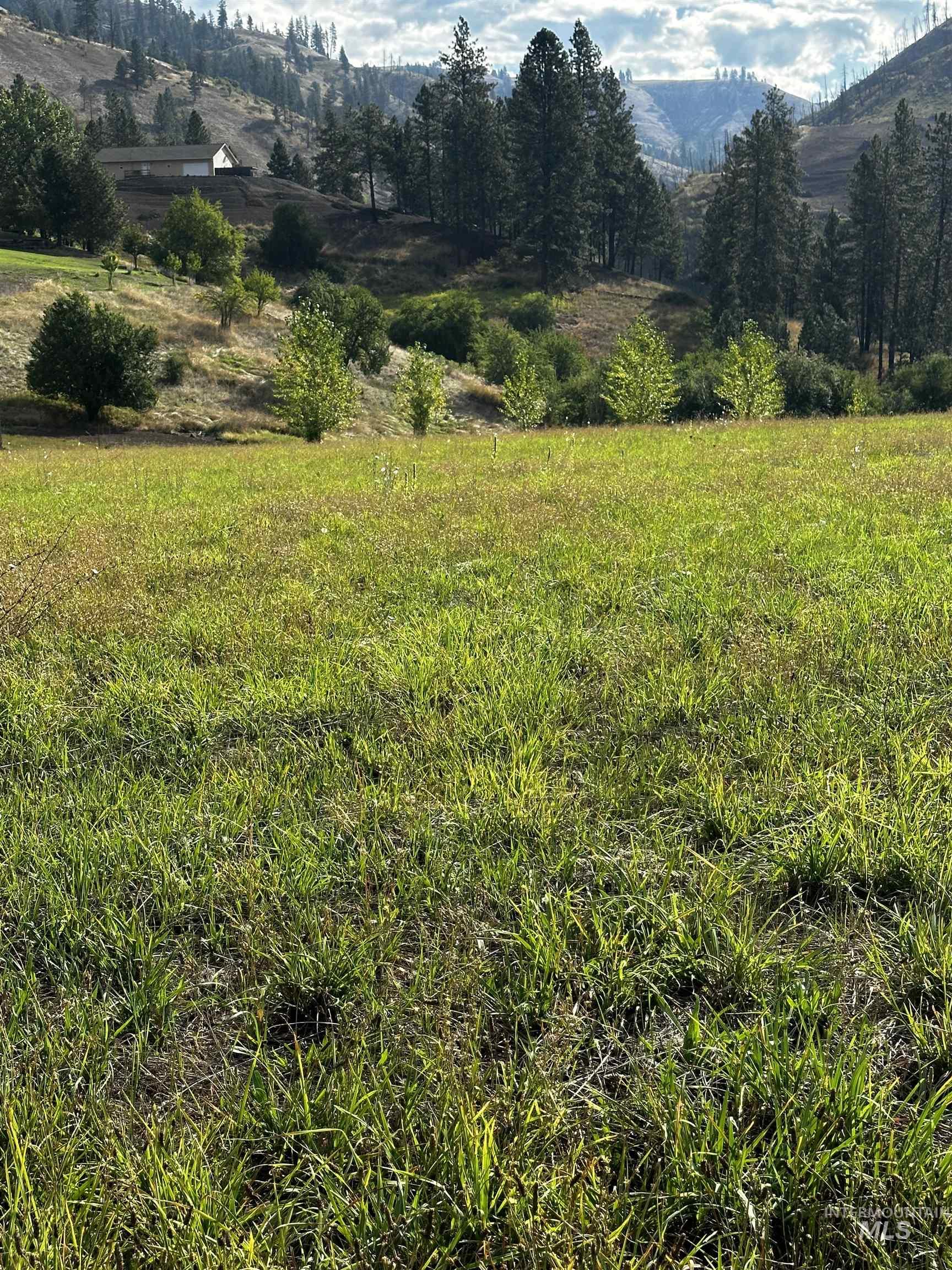Tbd Austree Lane Property Photo 4