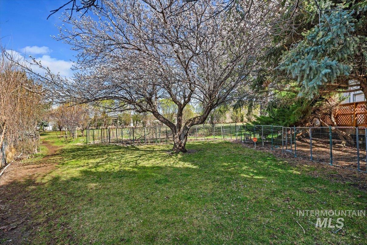 215 Willow Property Photo 31
