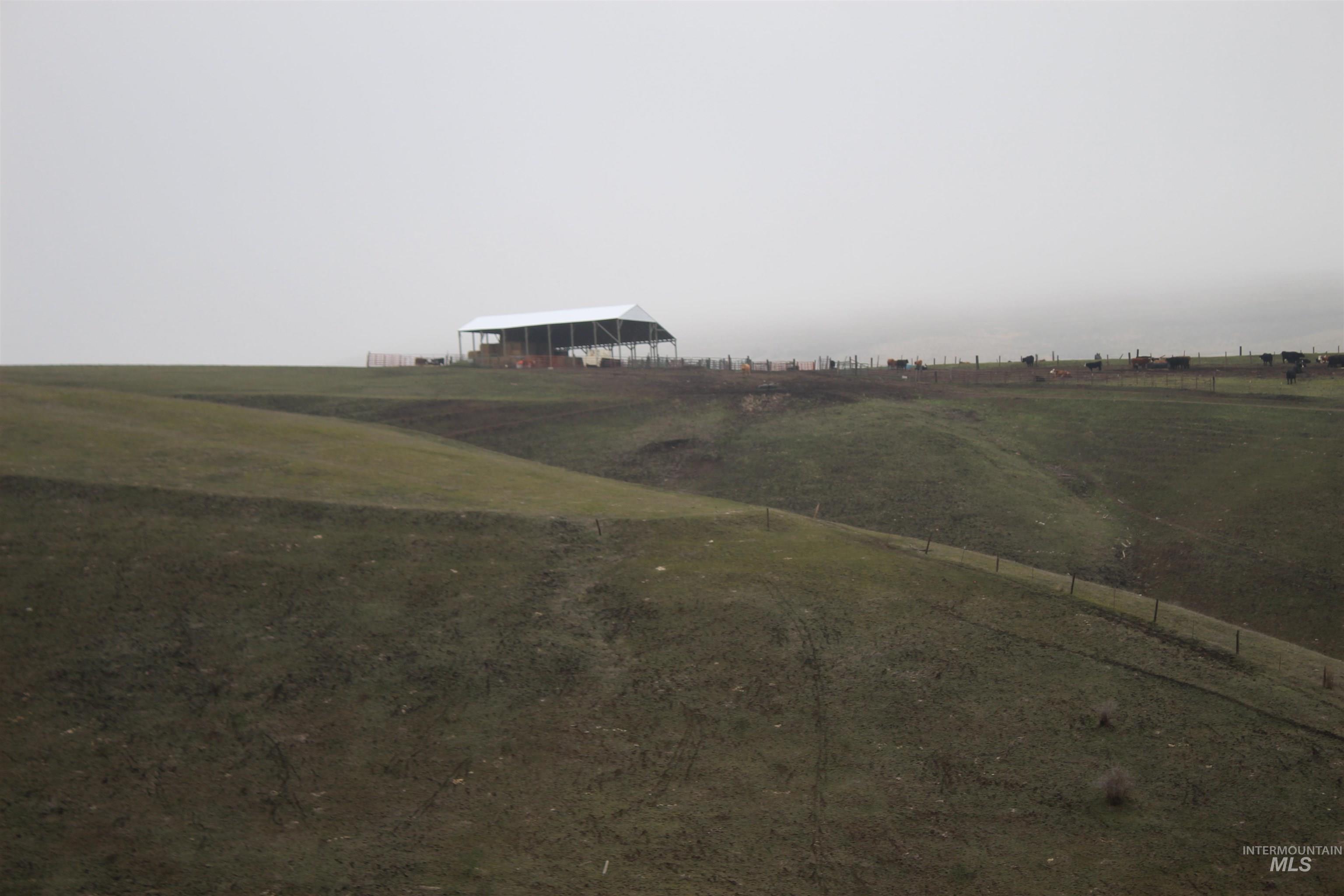 Tbd Mccormack Ridge Road Property Photo 3