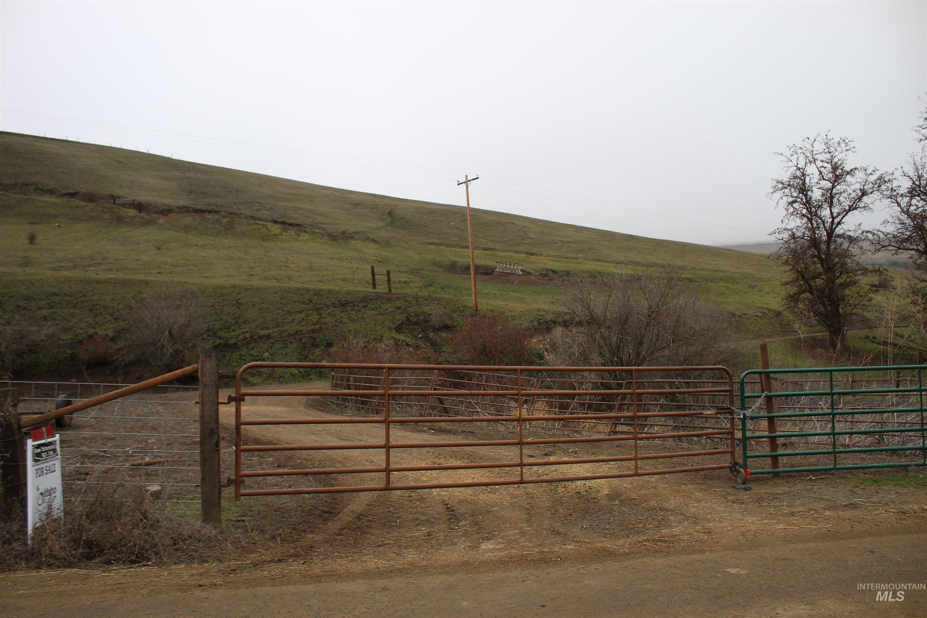 Tbd Mccormack Ridge Road Property Photo 7