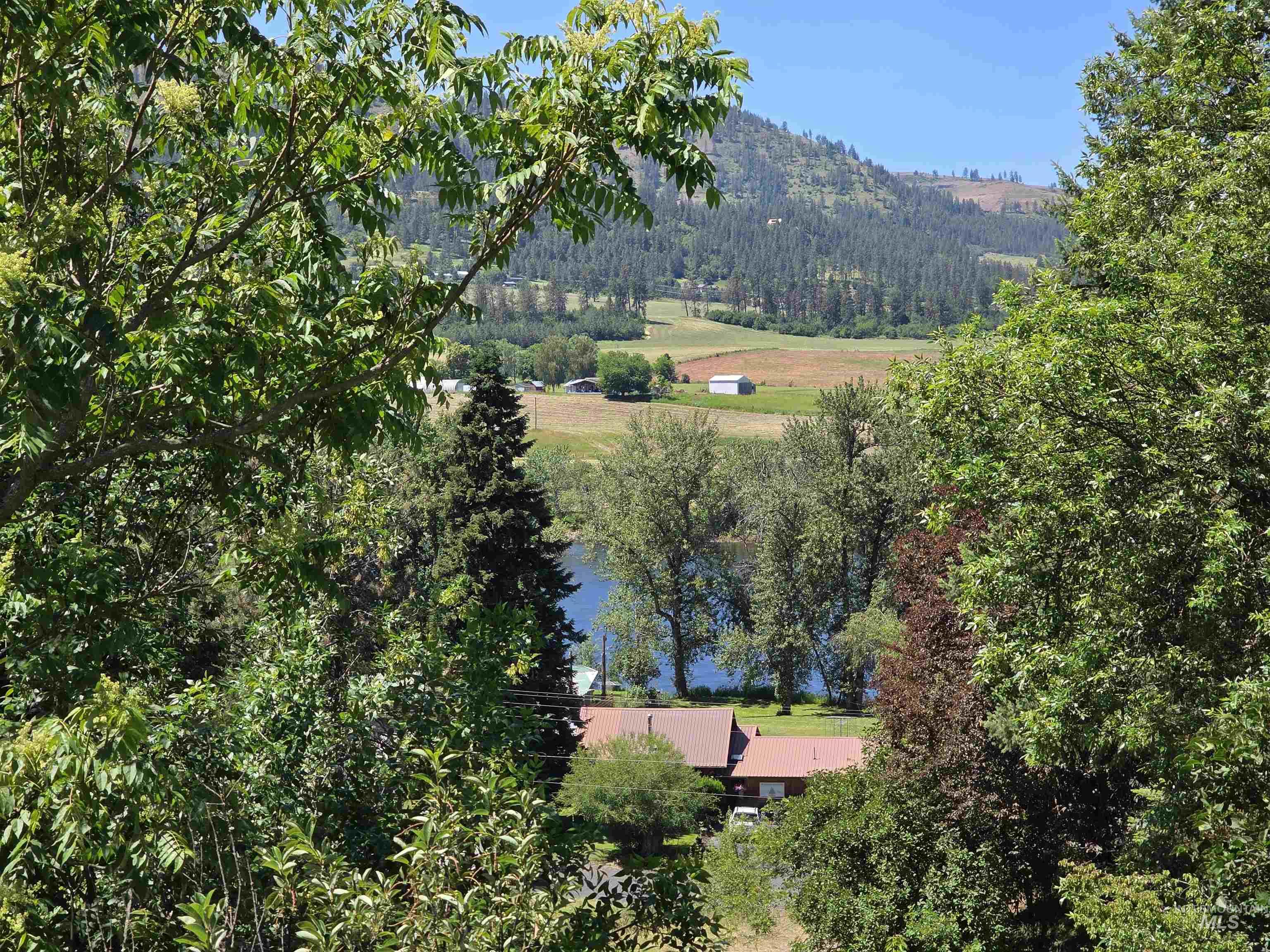 4157 Highway 12 Property Photo 38