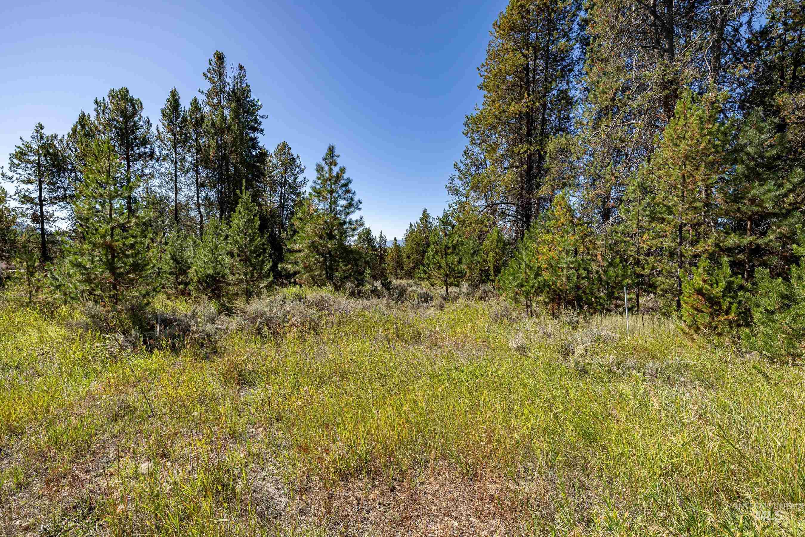 433 Wilhelm Creek Court Property Photo 6