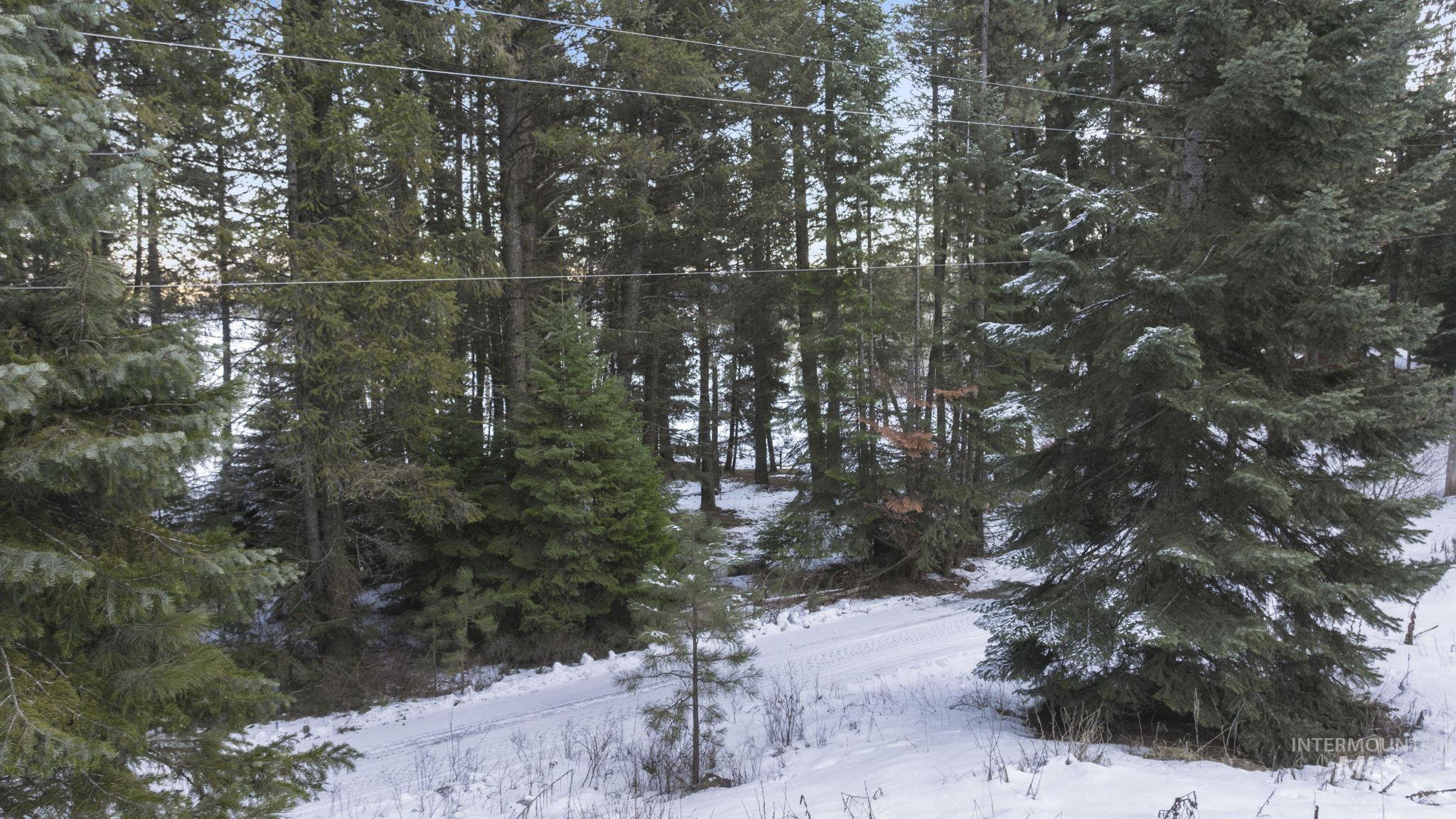 616-618 Teepee Drive Property Photo 18