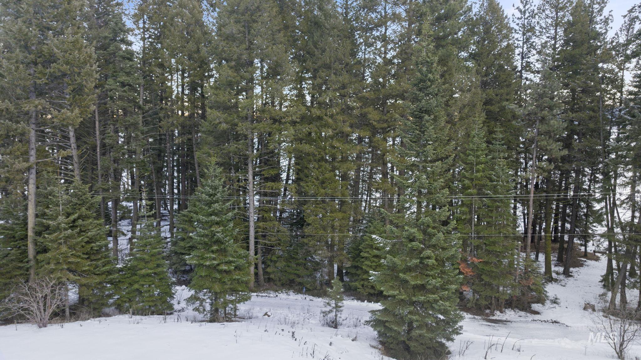 616-618 Teepee Drive Property Photo 20