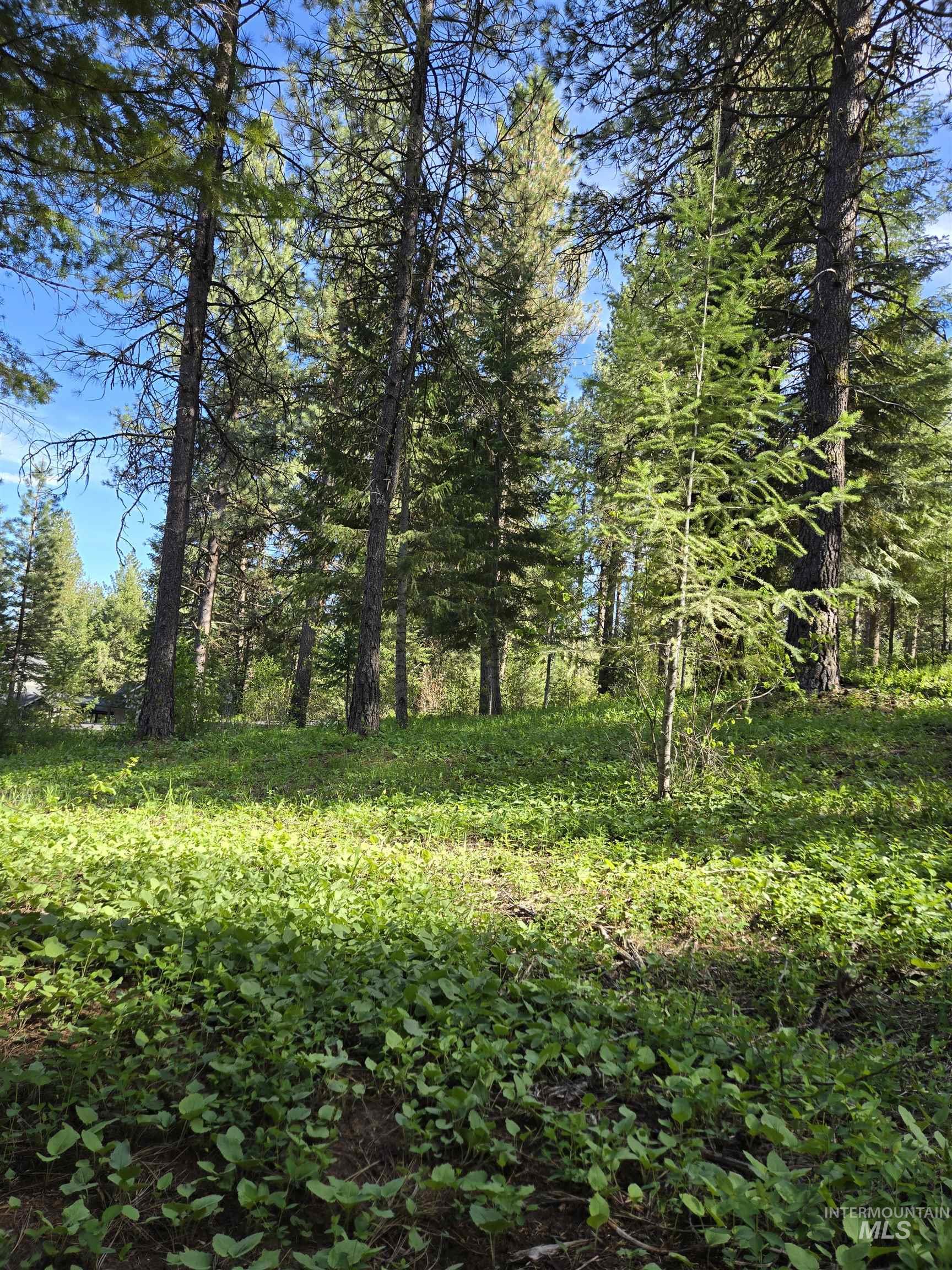 Tbd Sorrel Property Photo 1