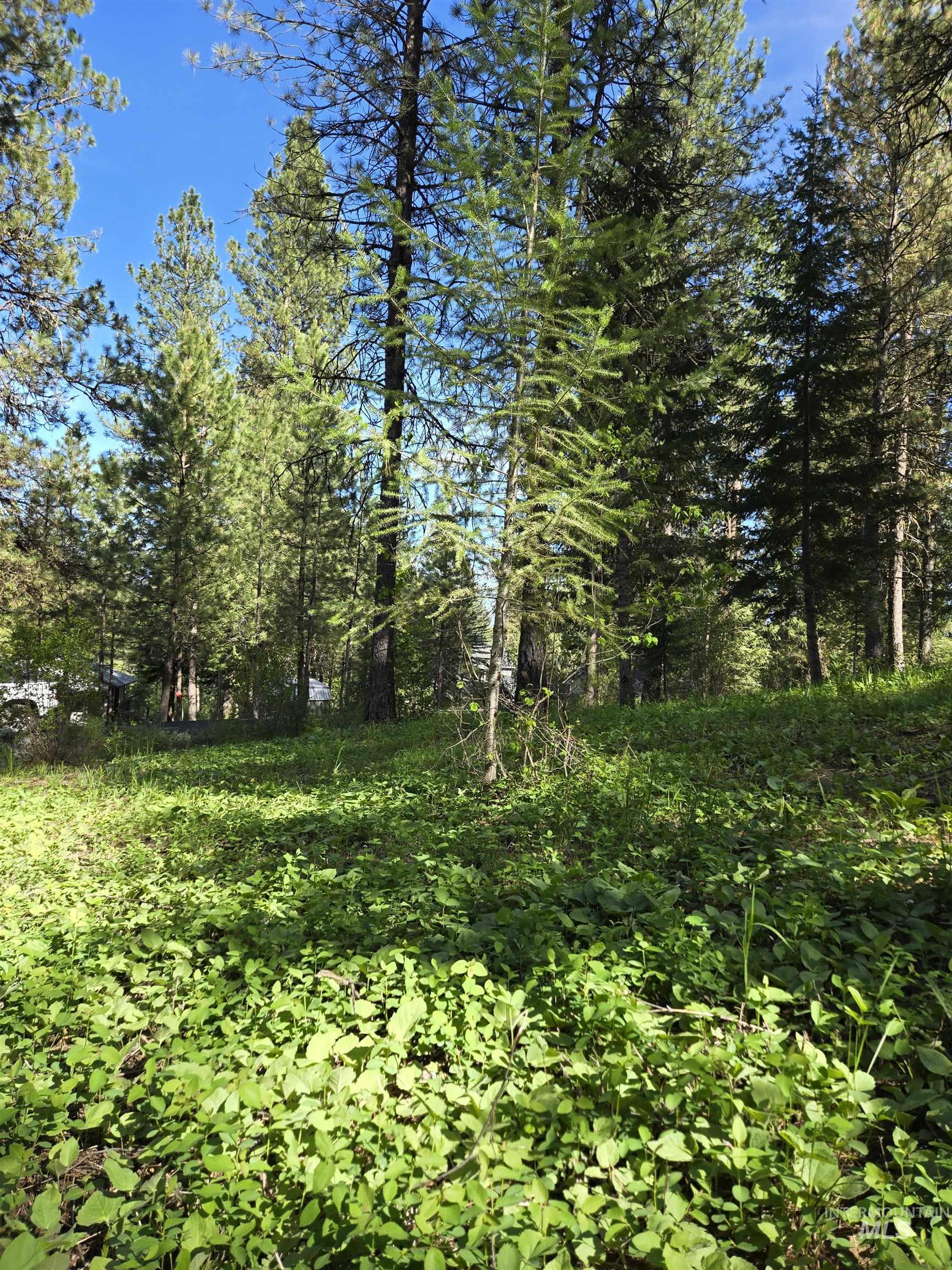 Tbd Sorrel Property Photo 2