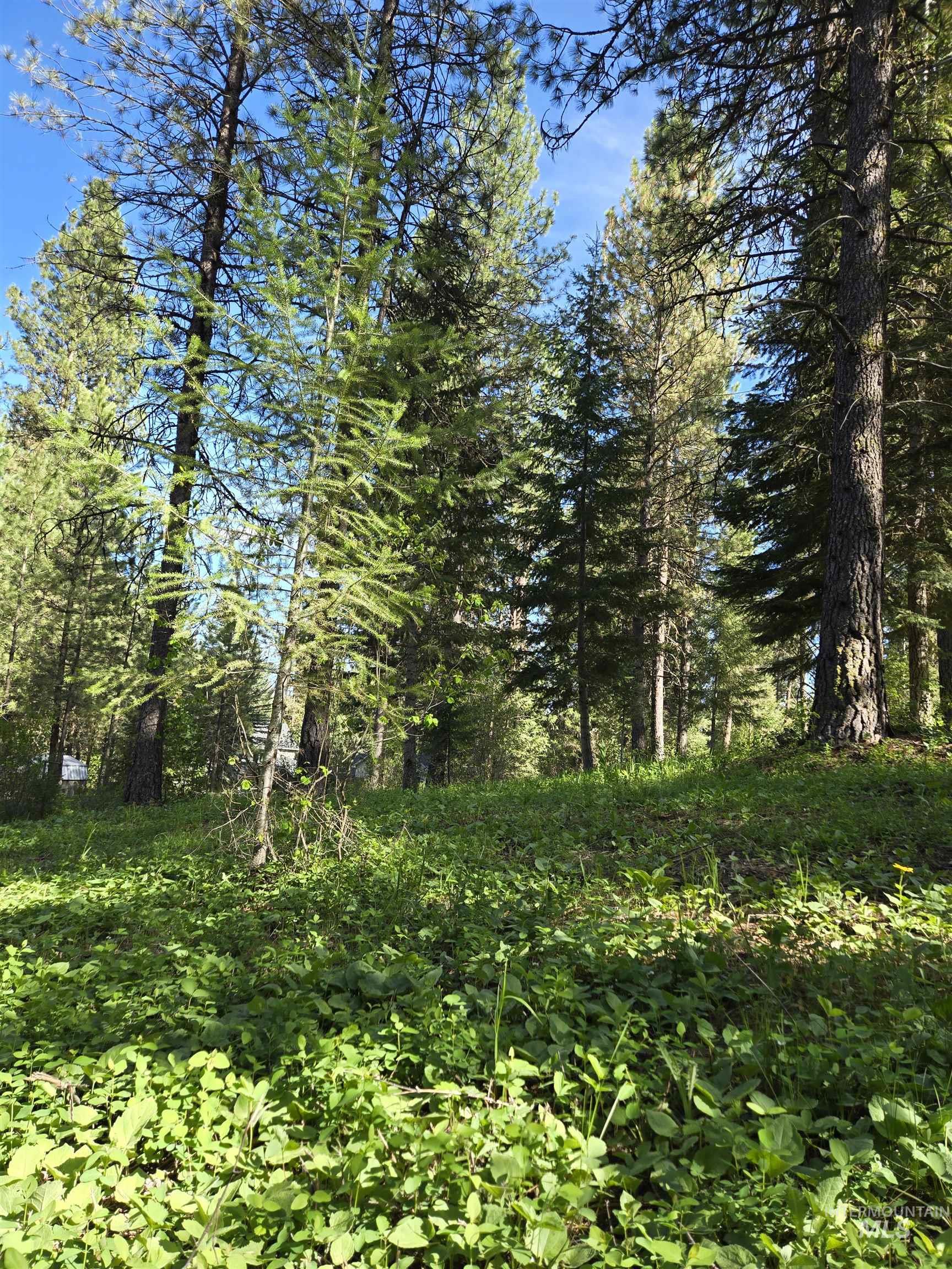 Tbd Sorrel Property Photo 3