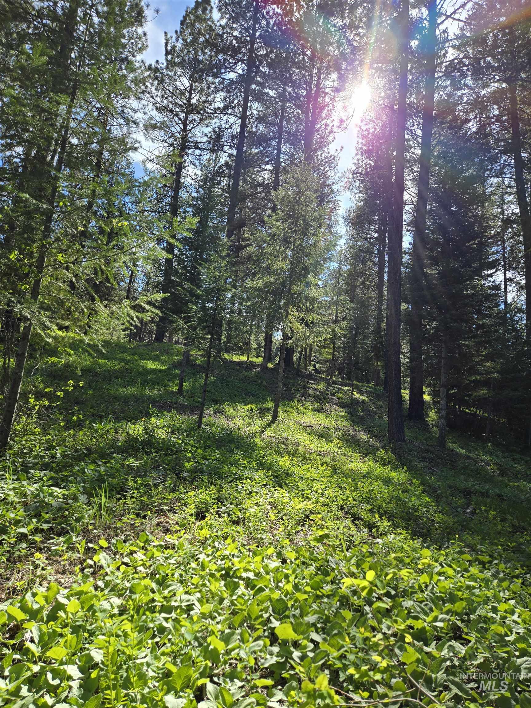 Tbd Sorrel Property Photo 4
