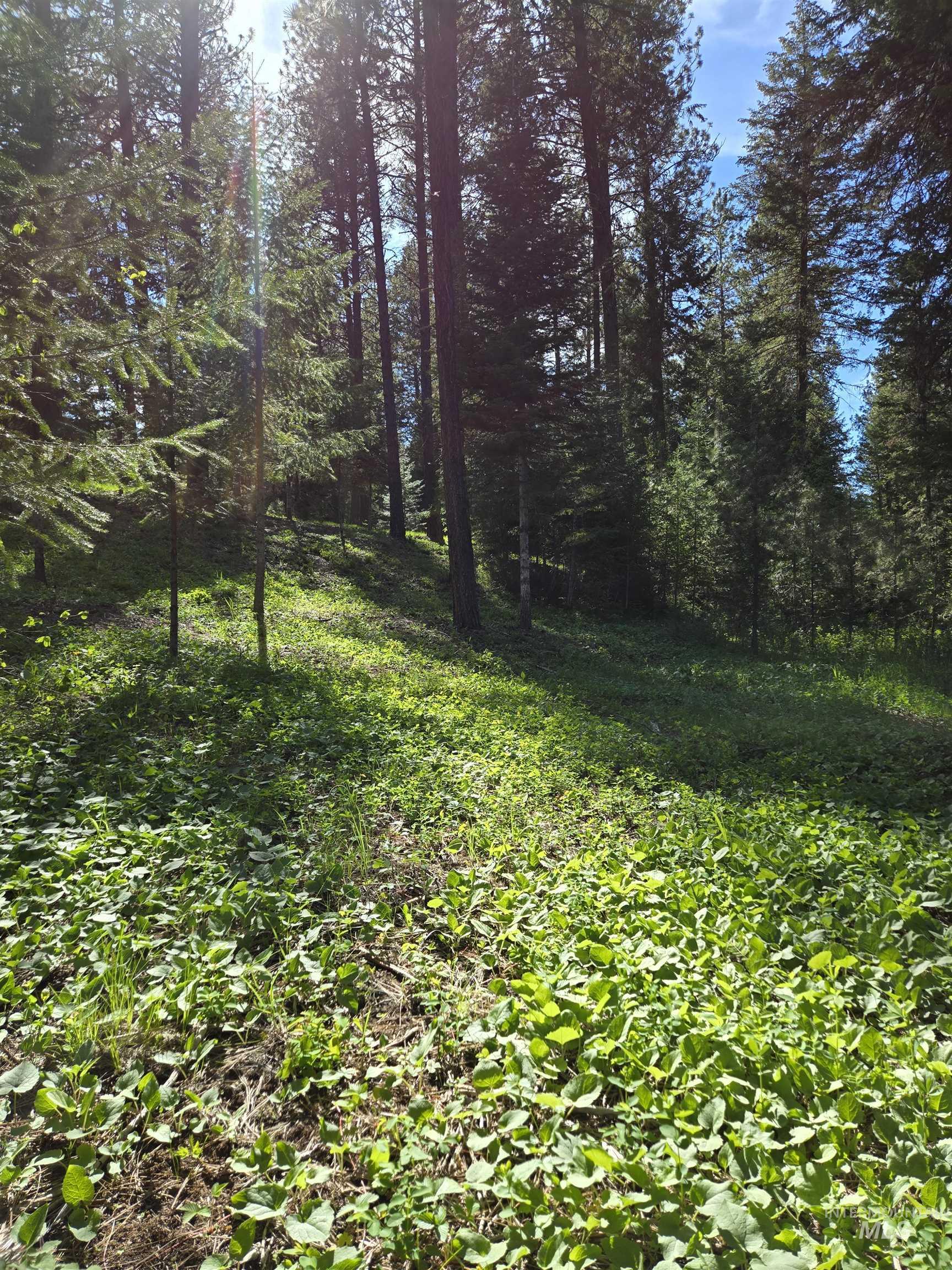 Tbd Sorrel Property Photo 5