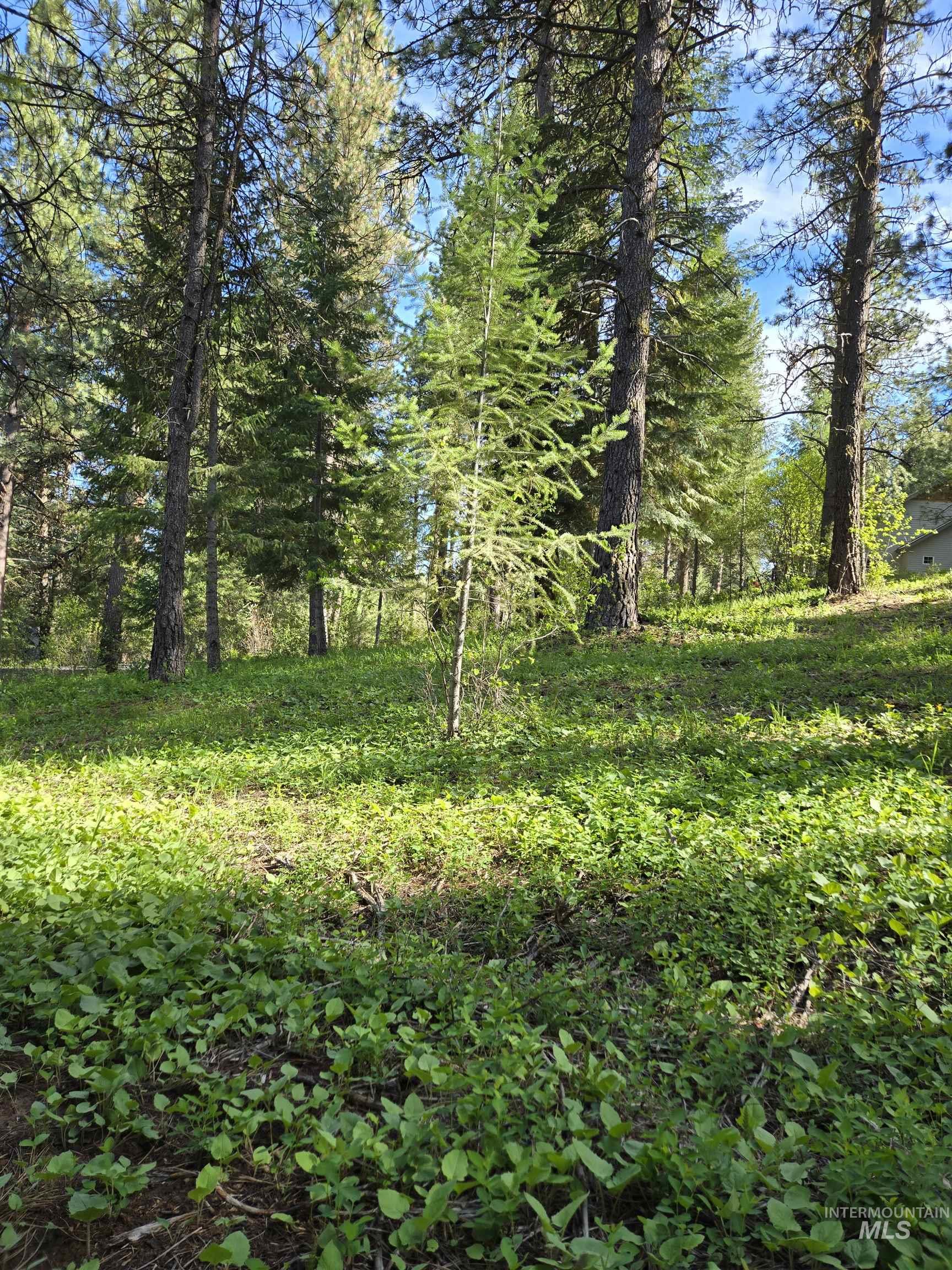 Tbd Sorrel Property Photo 6