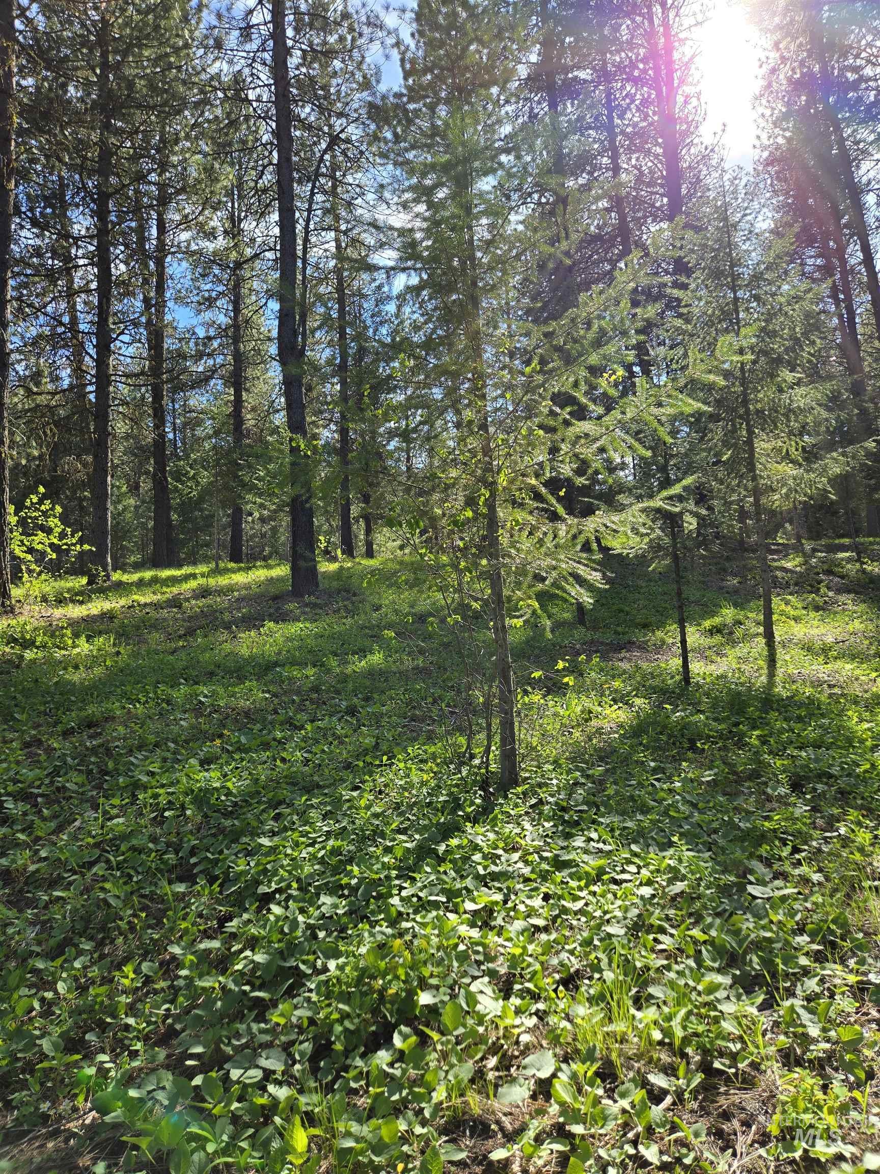 Tbd Sorrel Property Photo 7