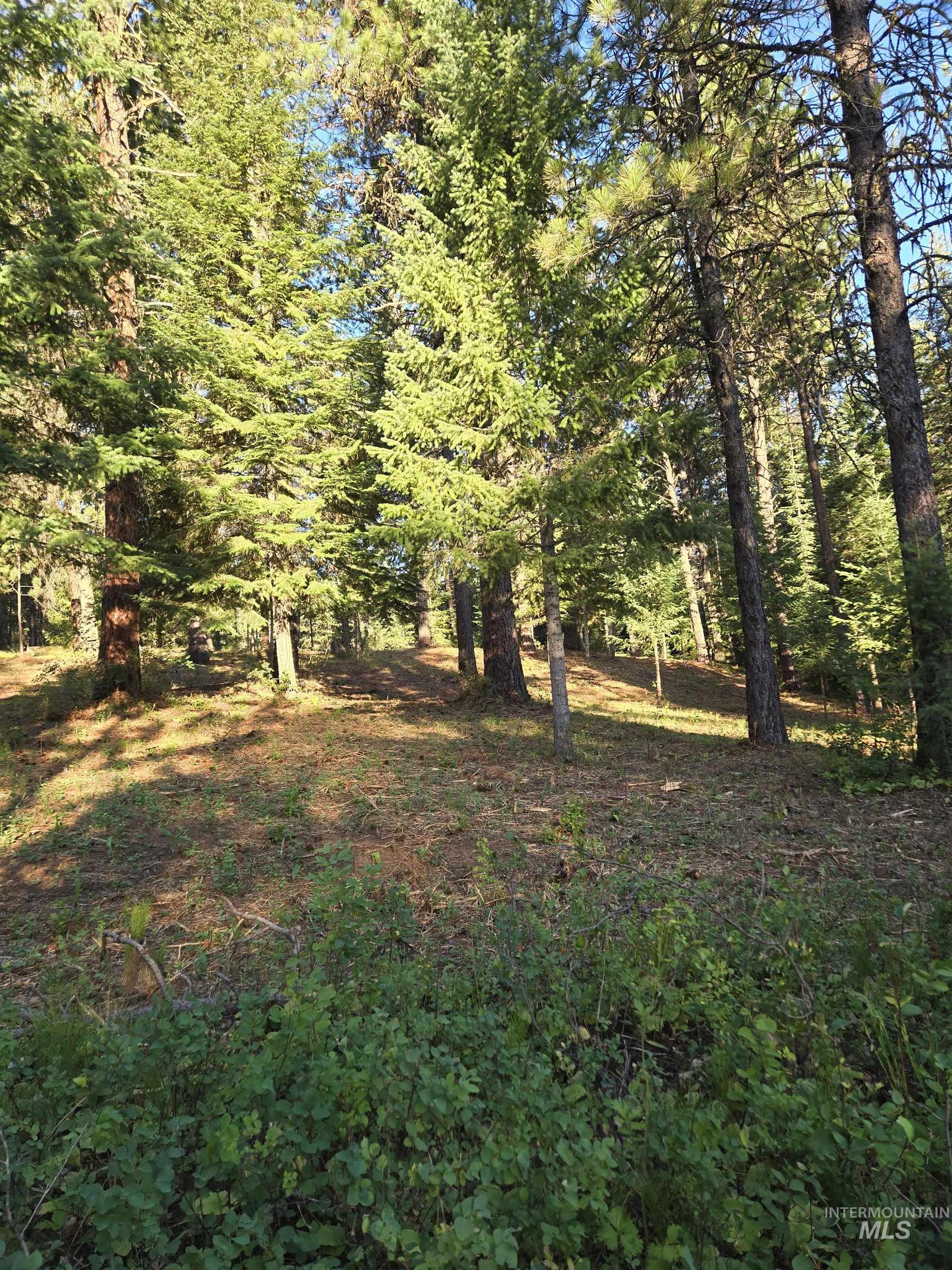 Tbd Sorrel Property Photo 8