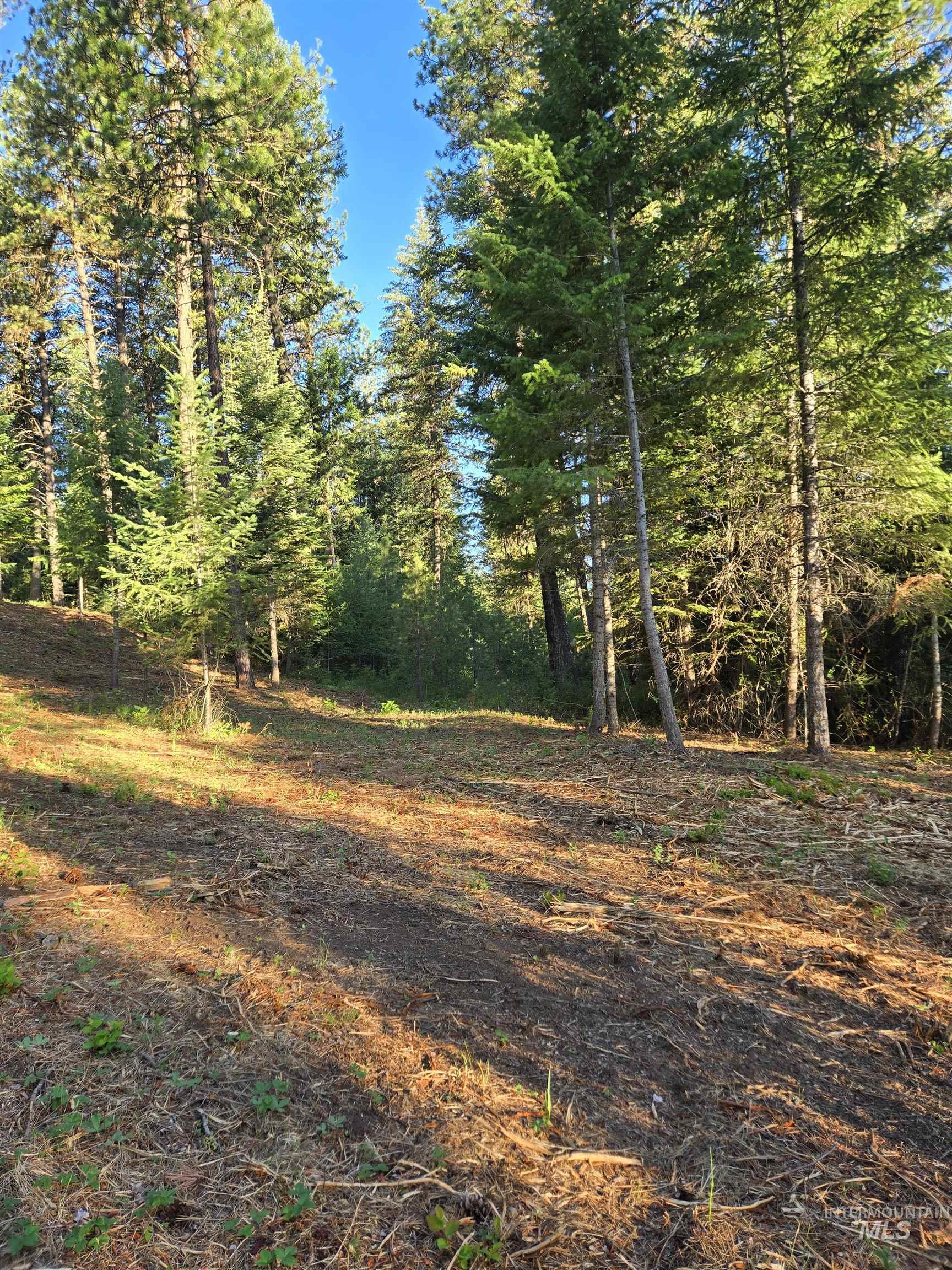 Tbd Sorrel Property Photo 9