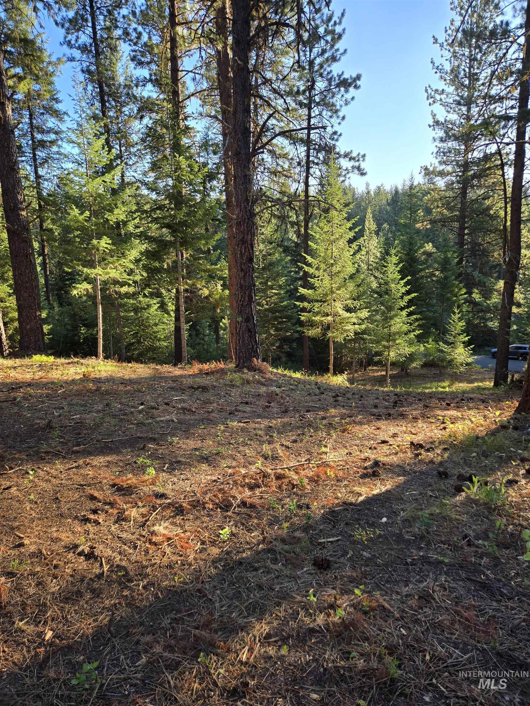 Tbd Sorrel Property Photo 10
