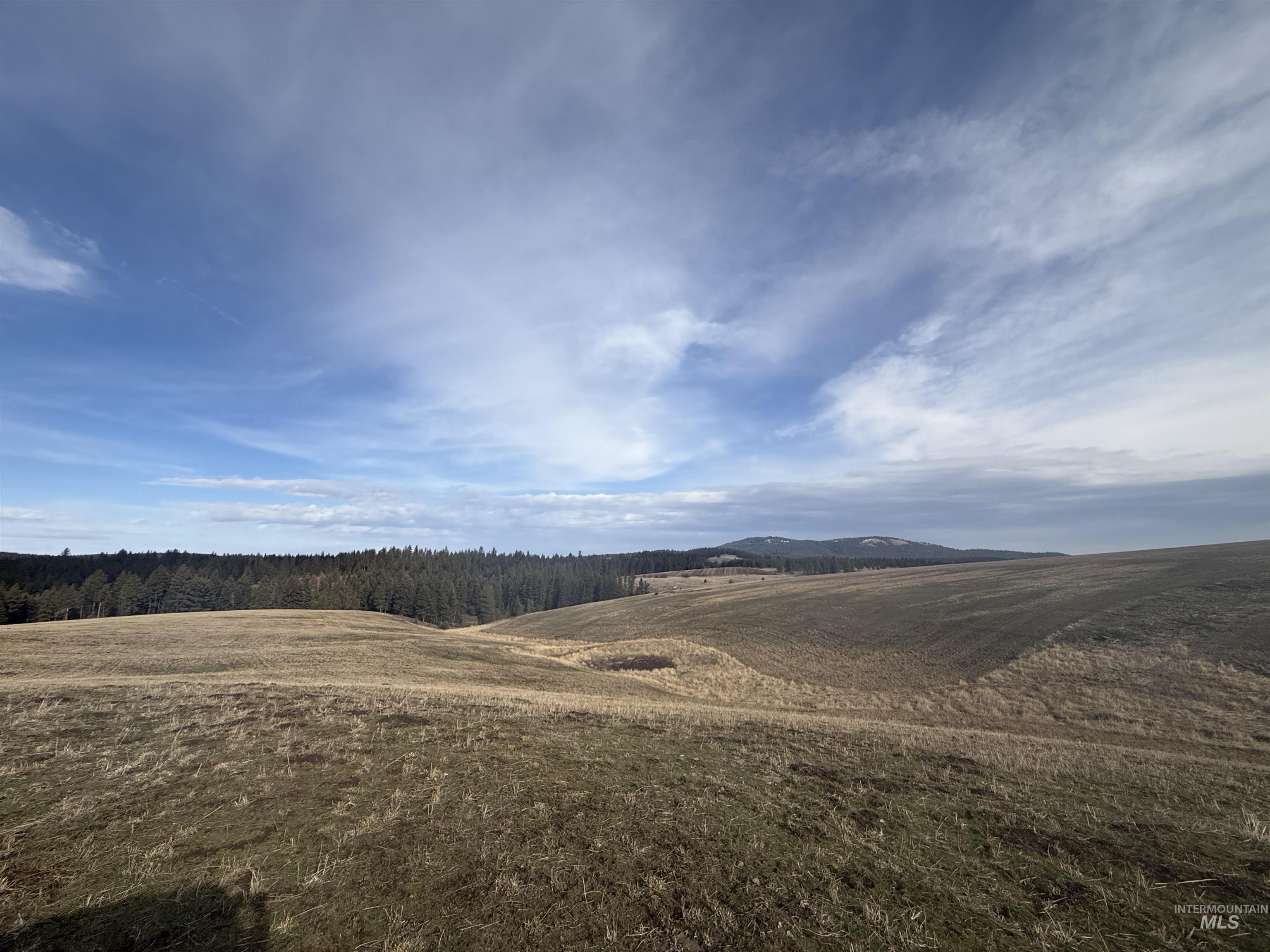 Tbd Rieman Rd Property Photo 4