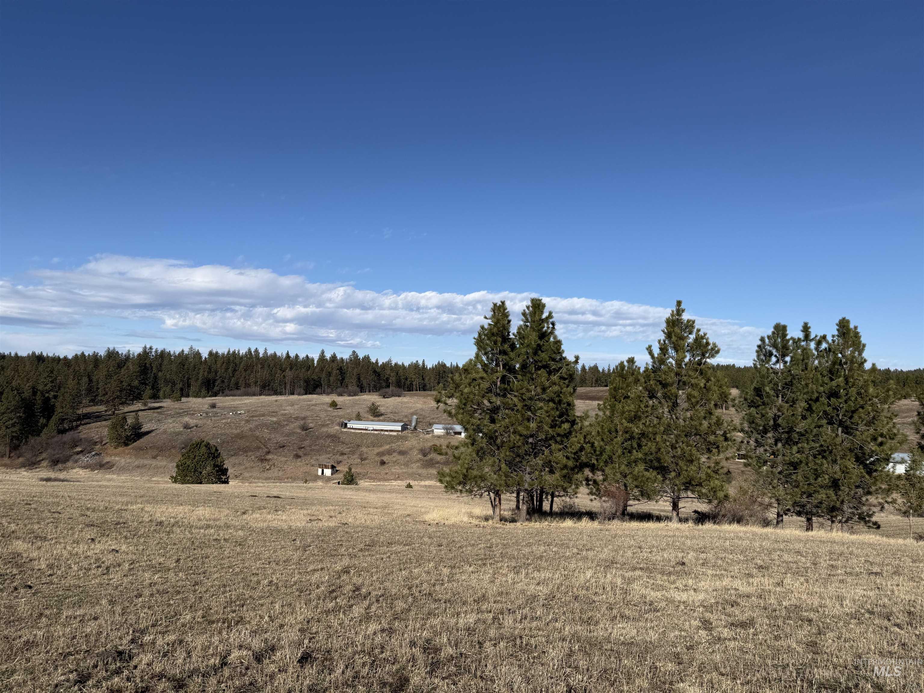 Tbd Rieman Rd Property Photo 5