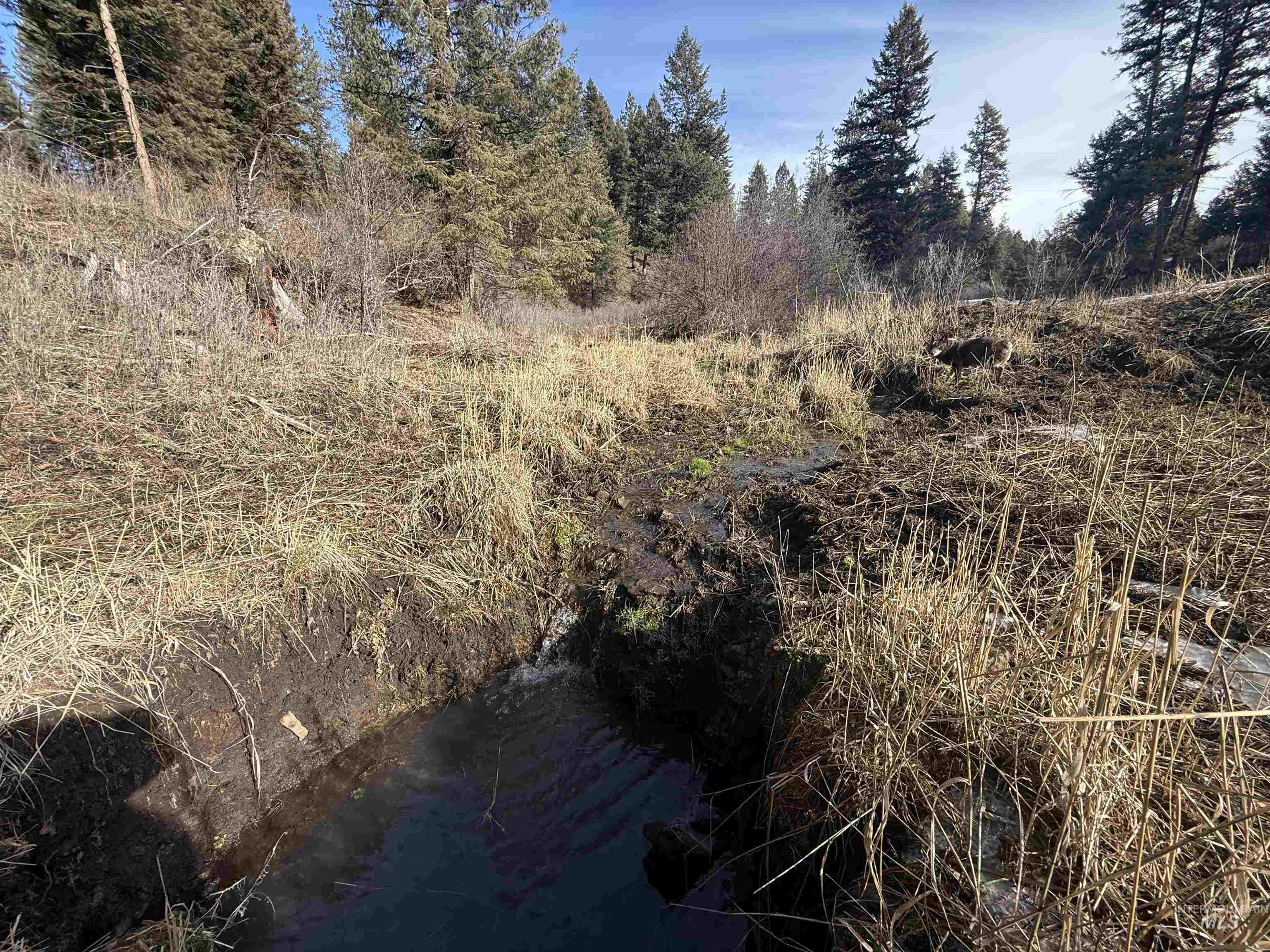 Tbd Rieman Rd Property Photo 11