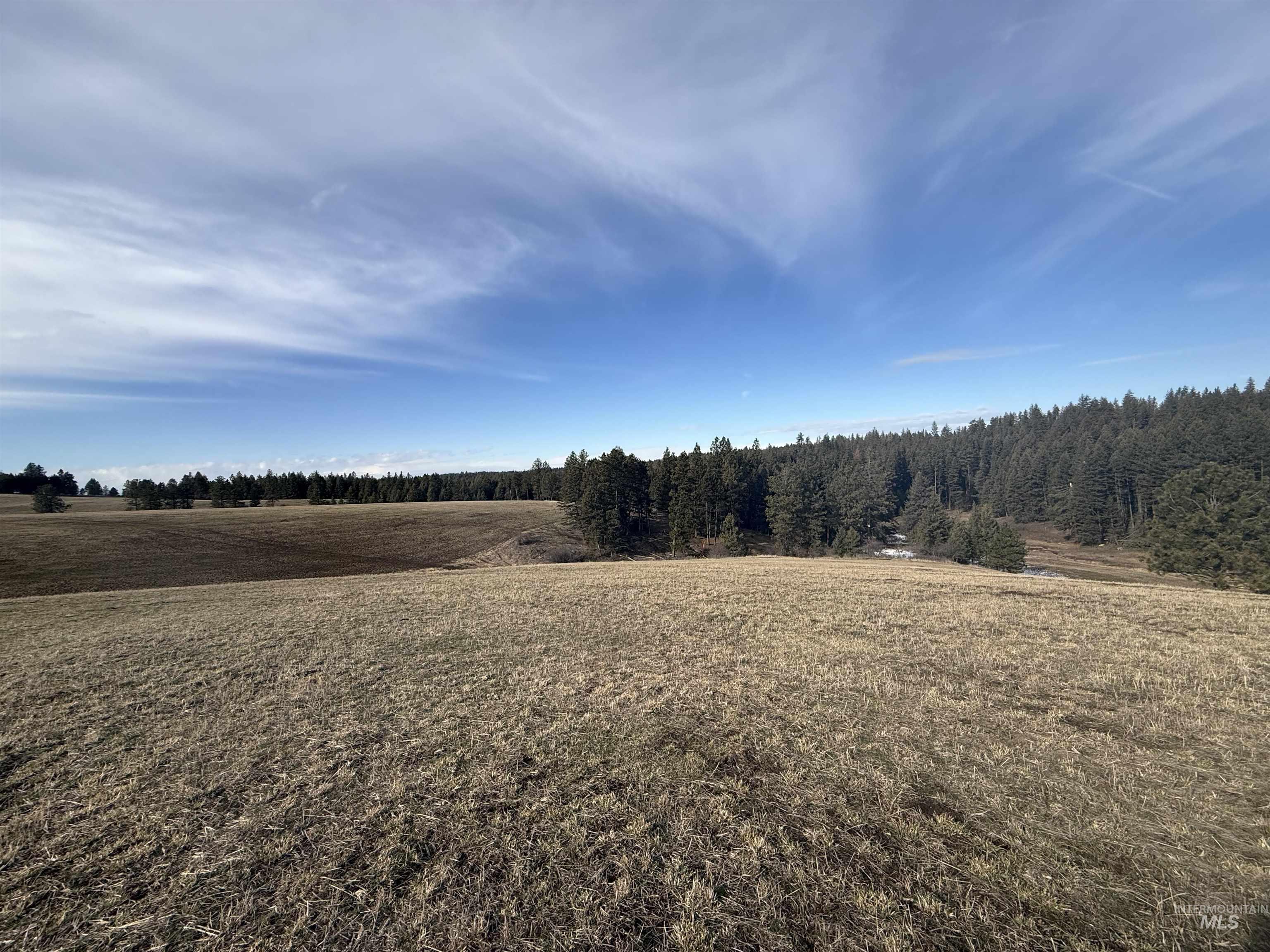 Tbd Rieman Rd Property Photo 12