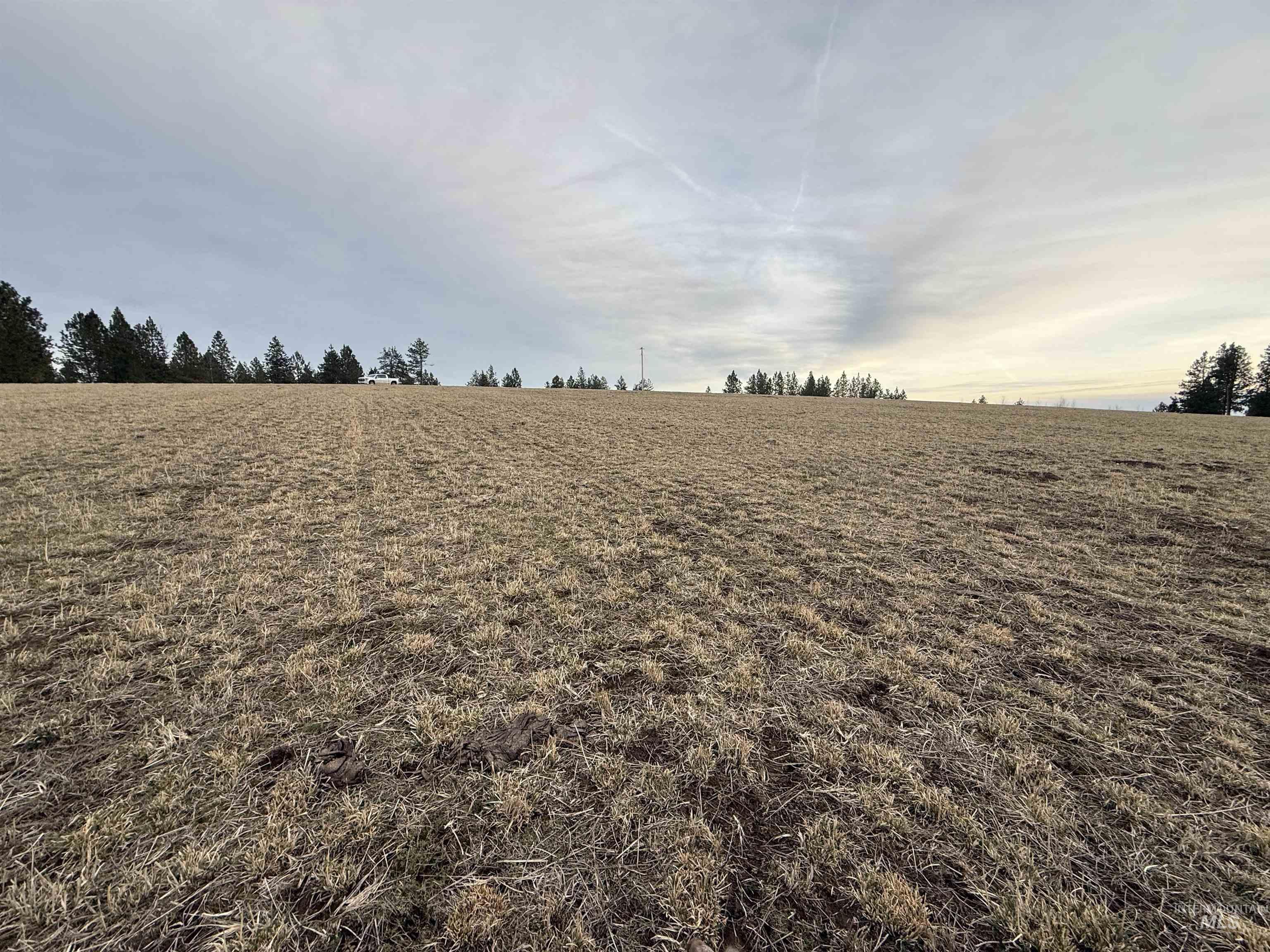 Tbd Rieman Rd Property Photo 13