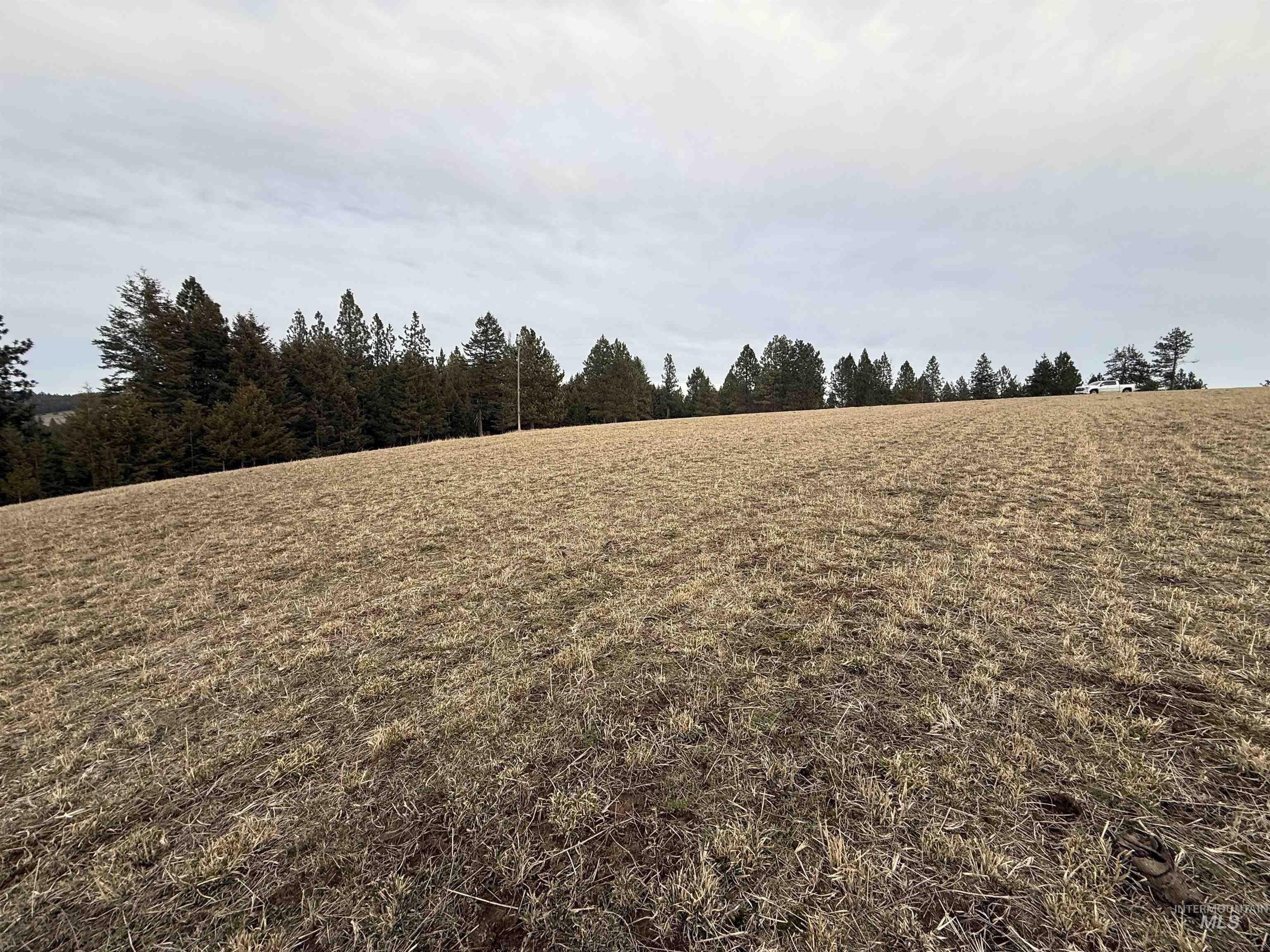 Tbd Rieman Rd Property Photo 14