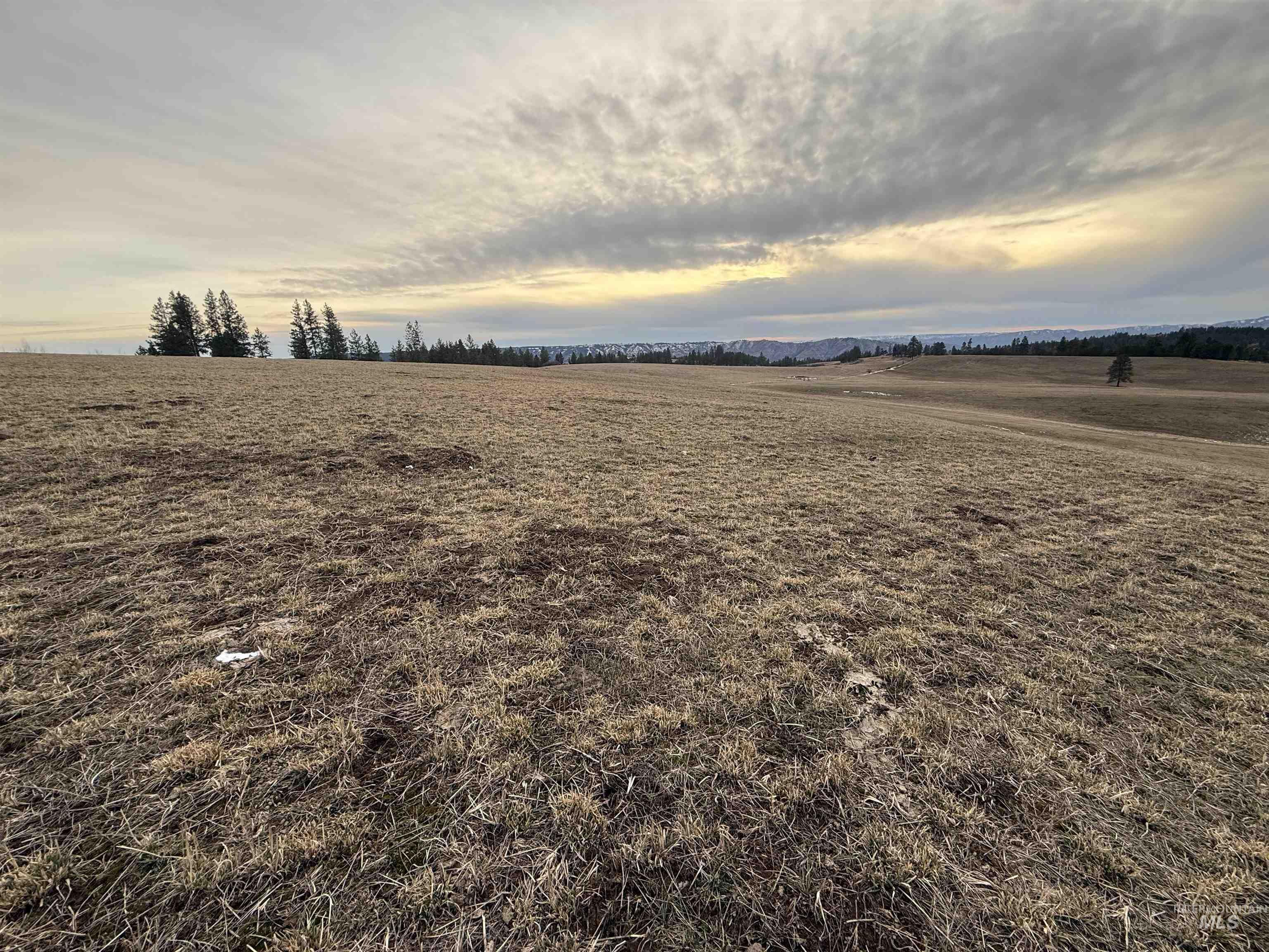 Tbd Rieman Rd Property Photo 15