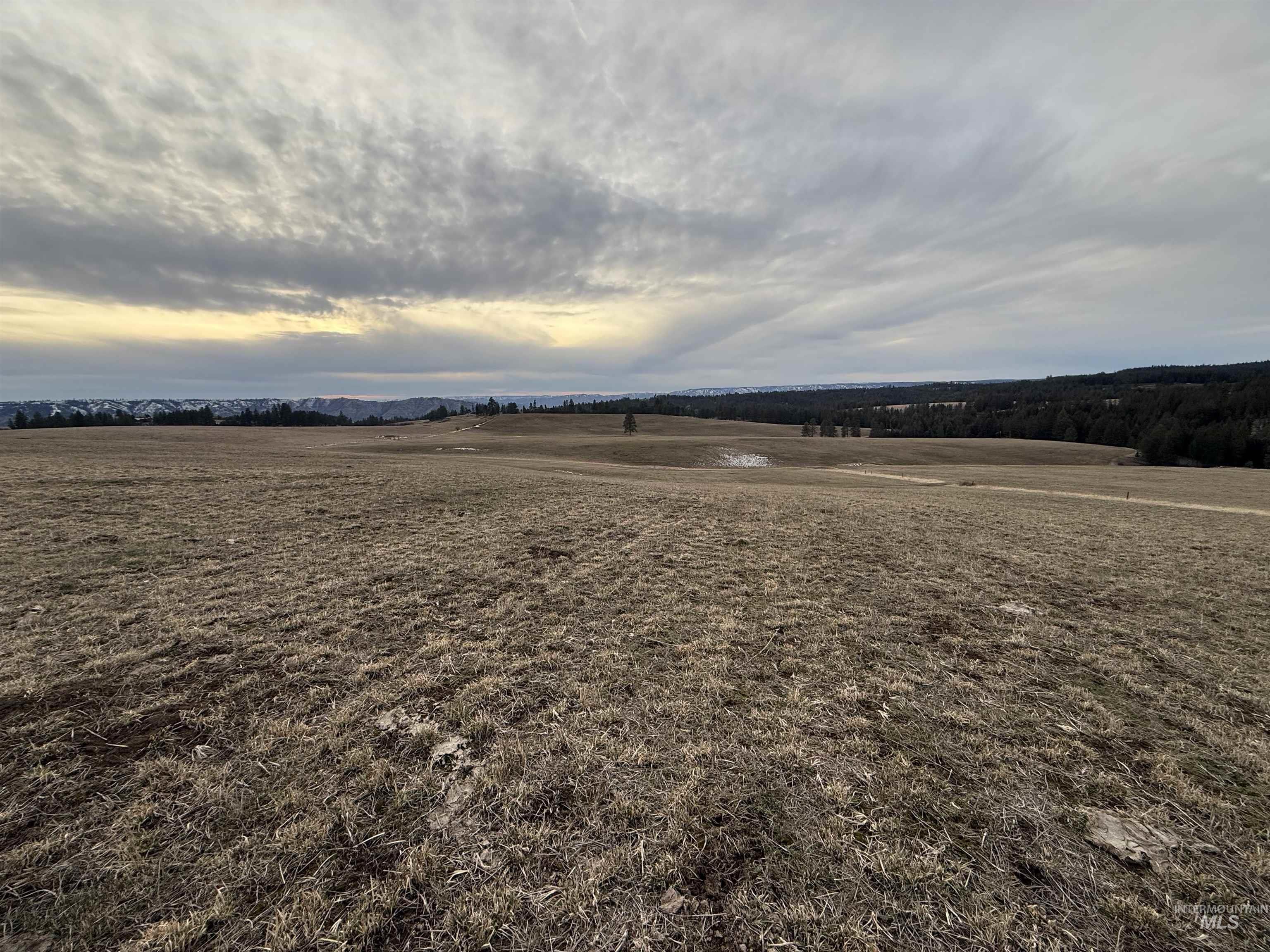 Tbd Rieman Rd Property Photo 16
