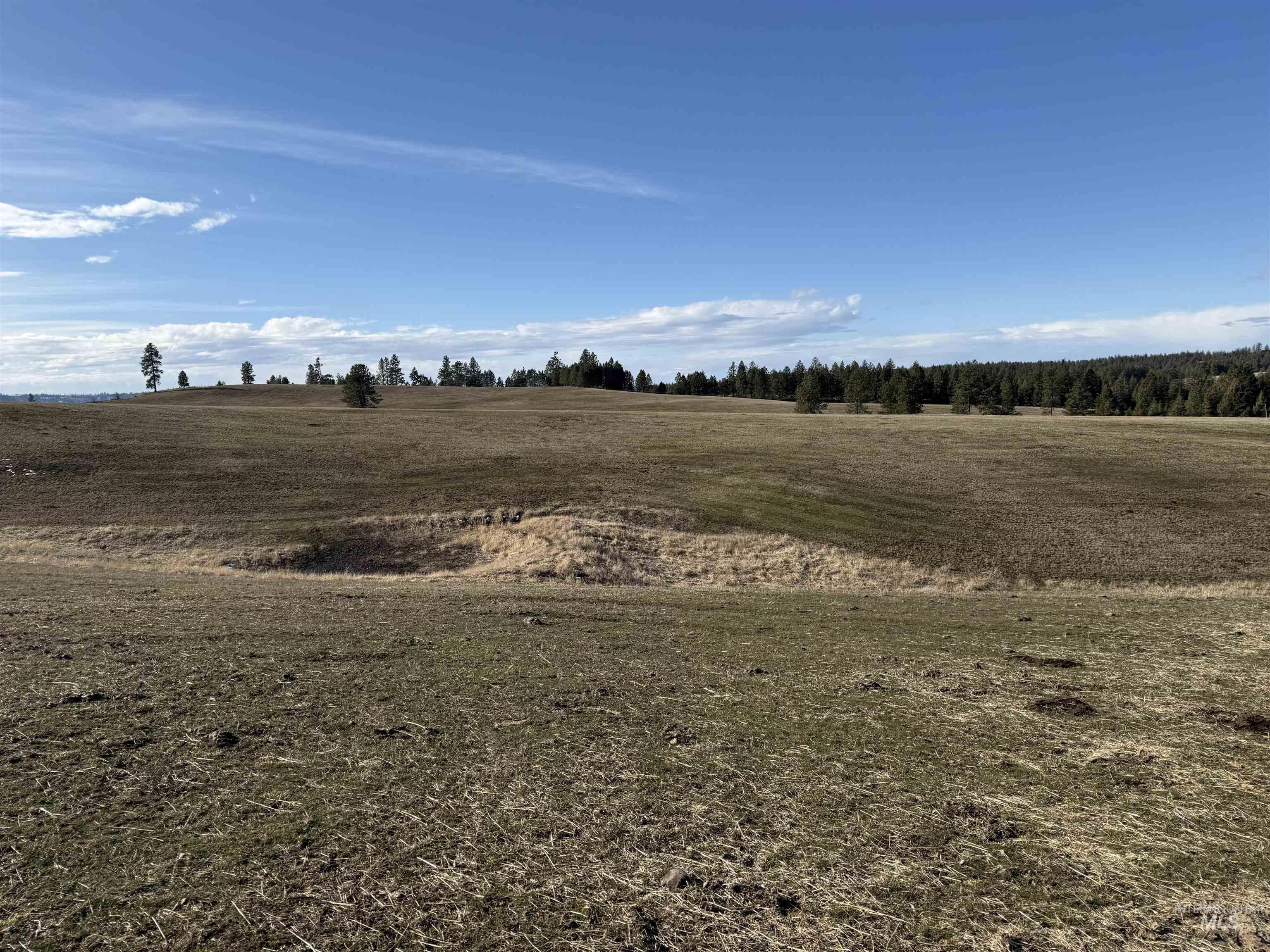 Tbd Rieman Rd Property Photo 18