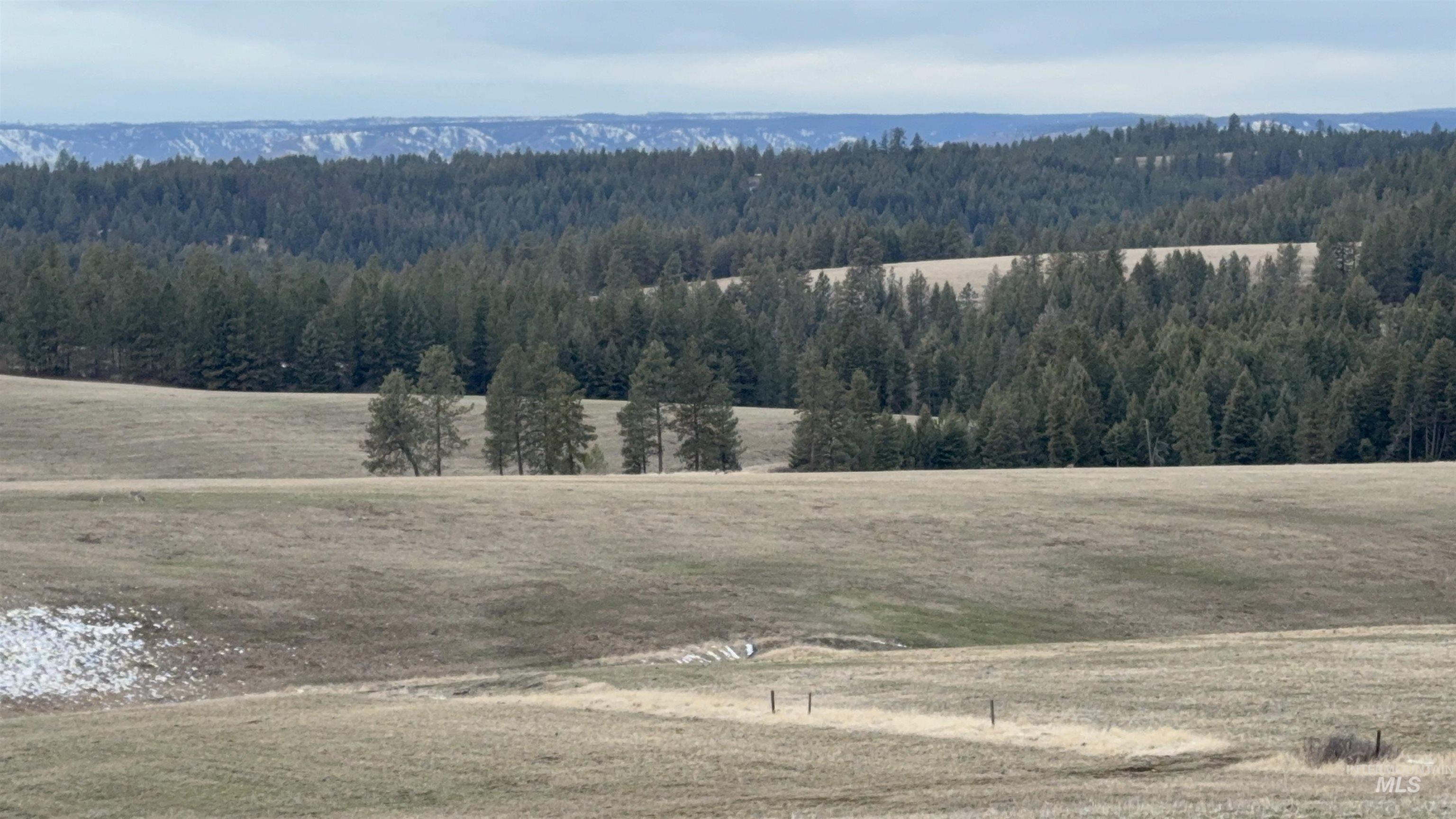 Tbd Rieman Rd Property Photo 20