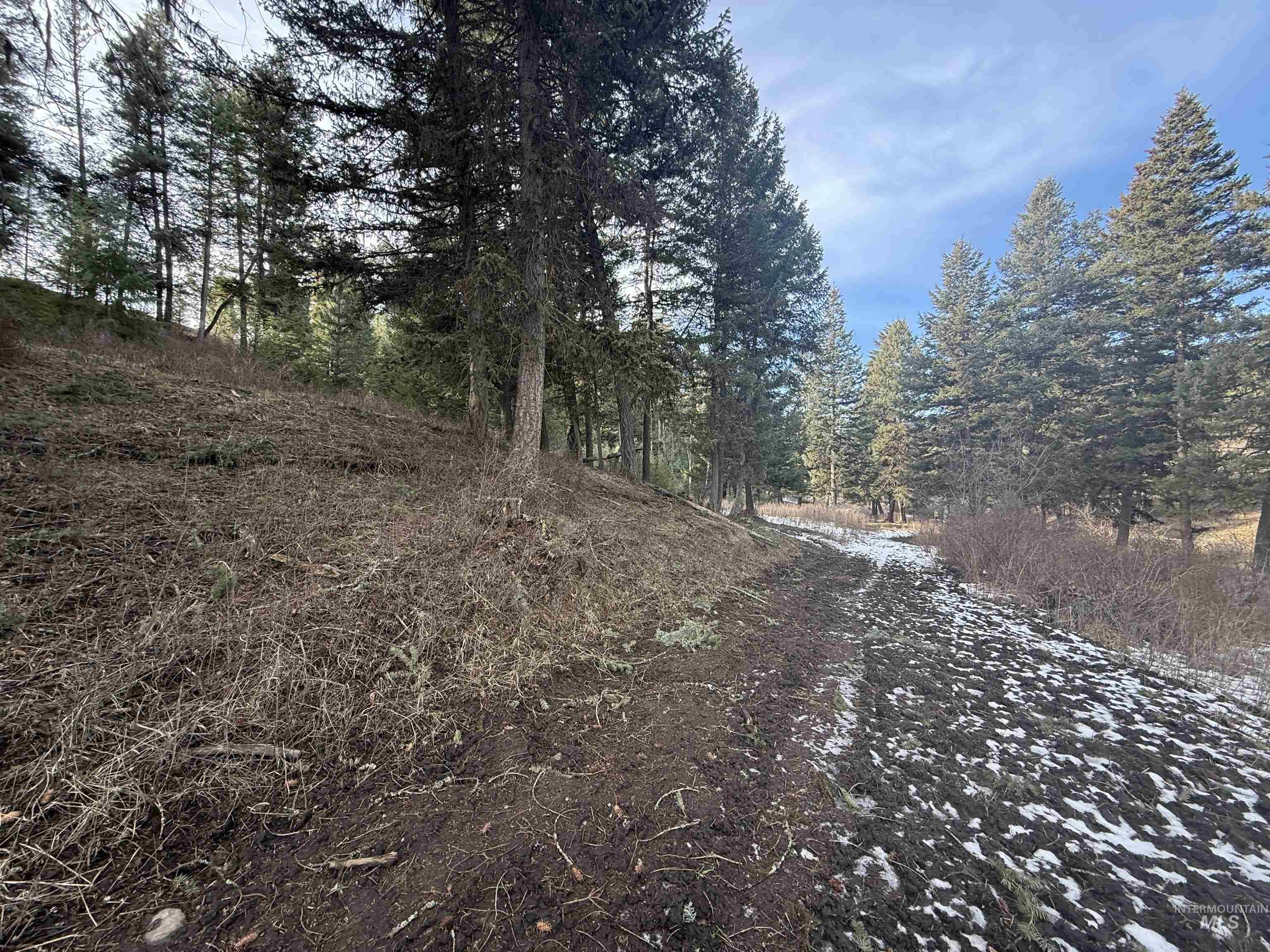 Tbd Rieman Rd Property Photo 23