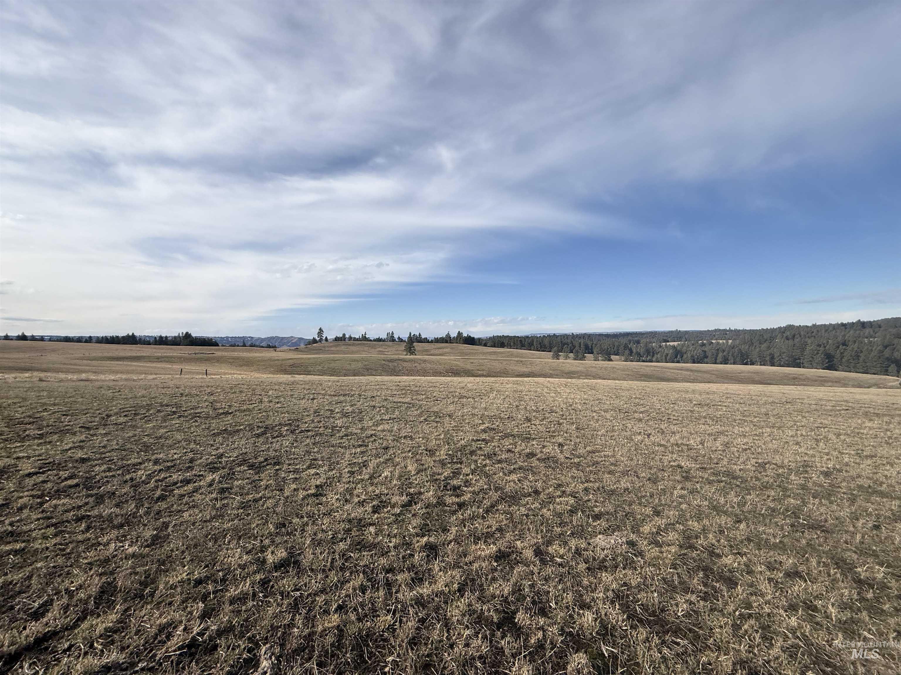 Tbd Rieman Rd Property Photo 26