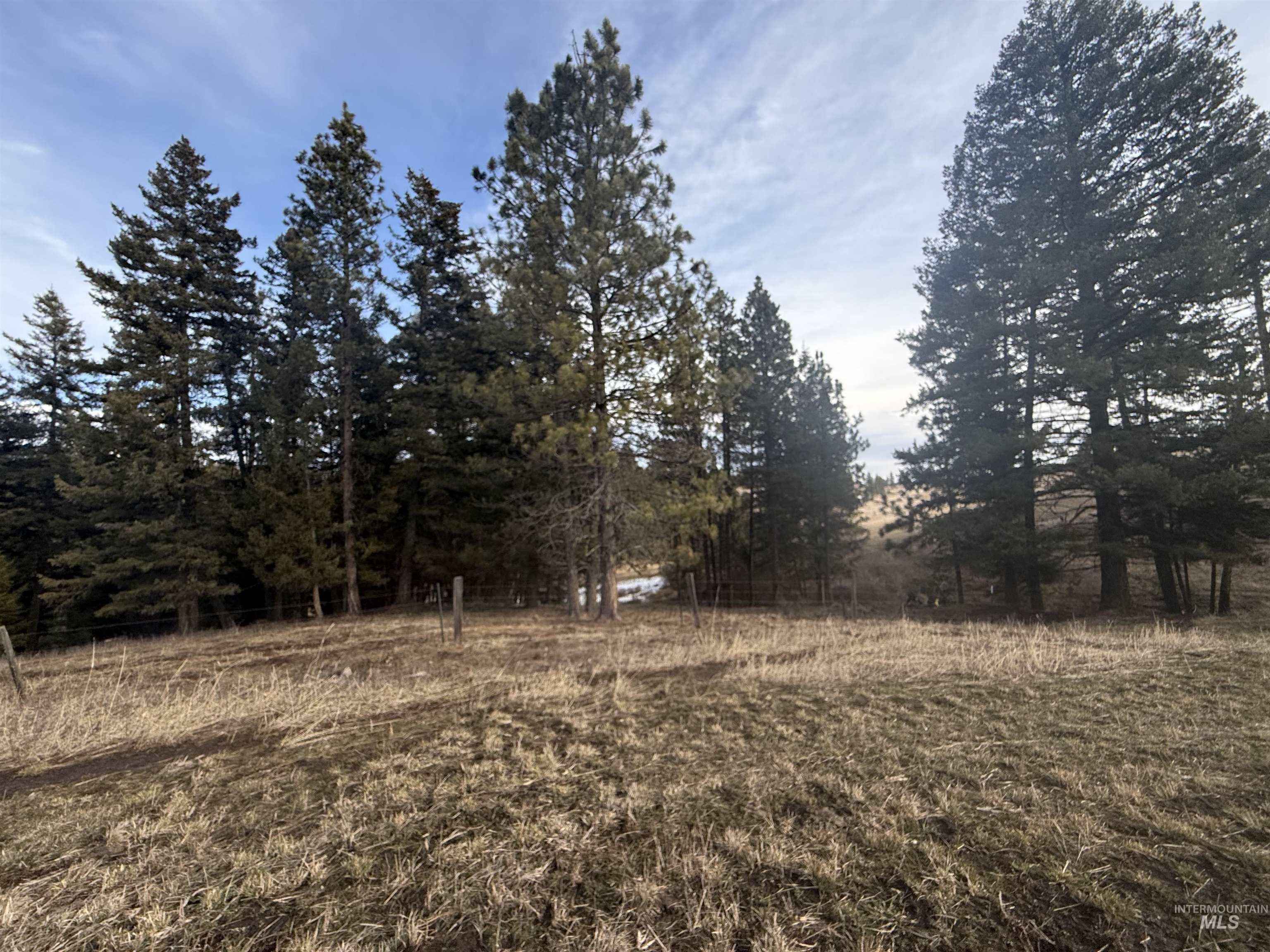 Tbd Rieman Rd Property Photo 29
