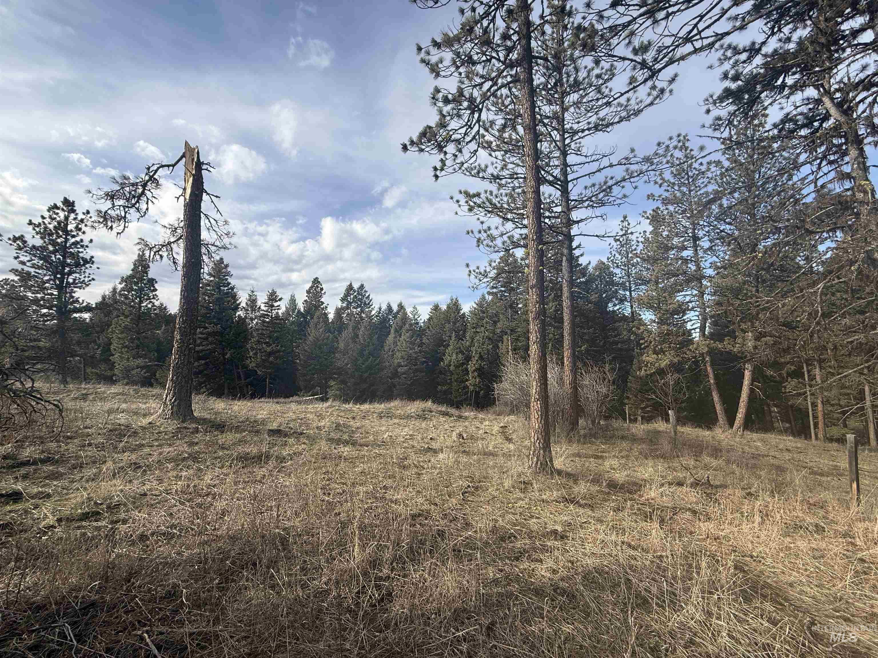 Tbd Rieman Rd Property Photo 30