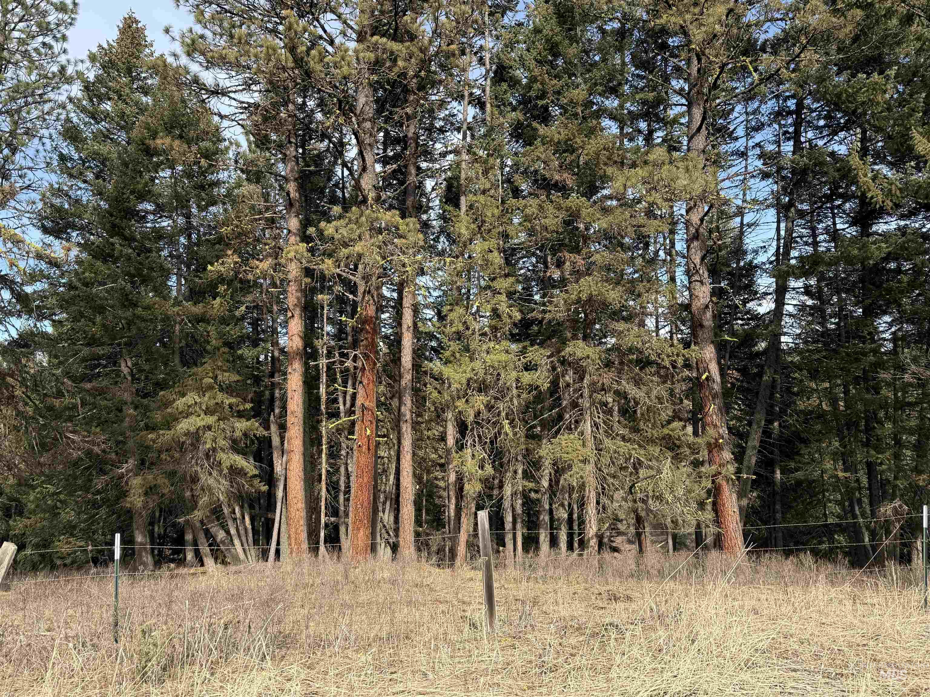 Tbd Rieman Rd Property Photo 31