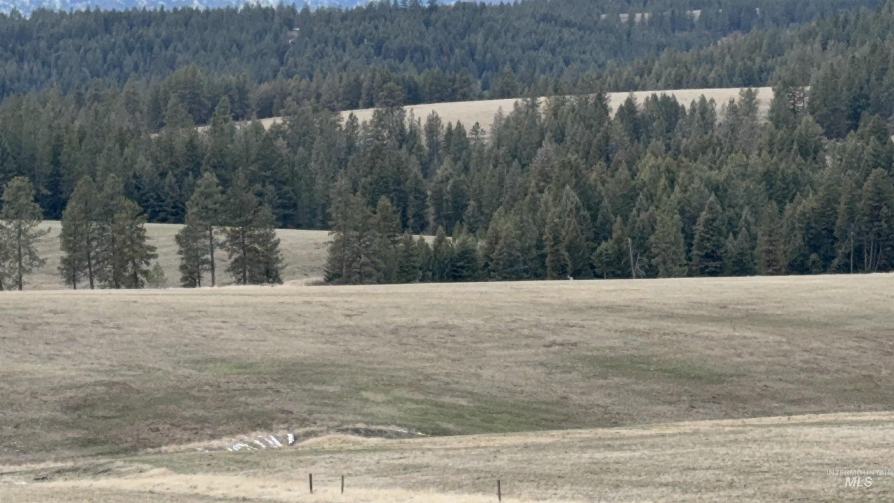 Tbd Rieman Rd Property Photo 44