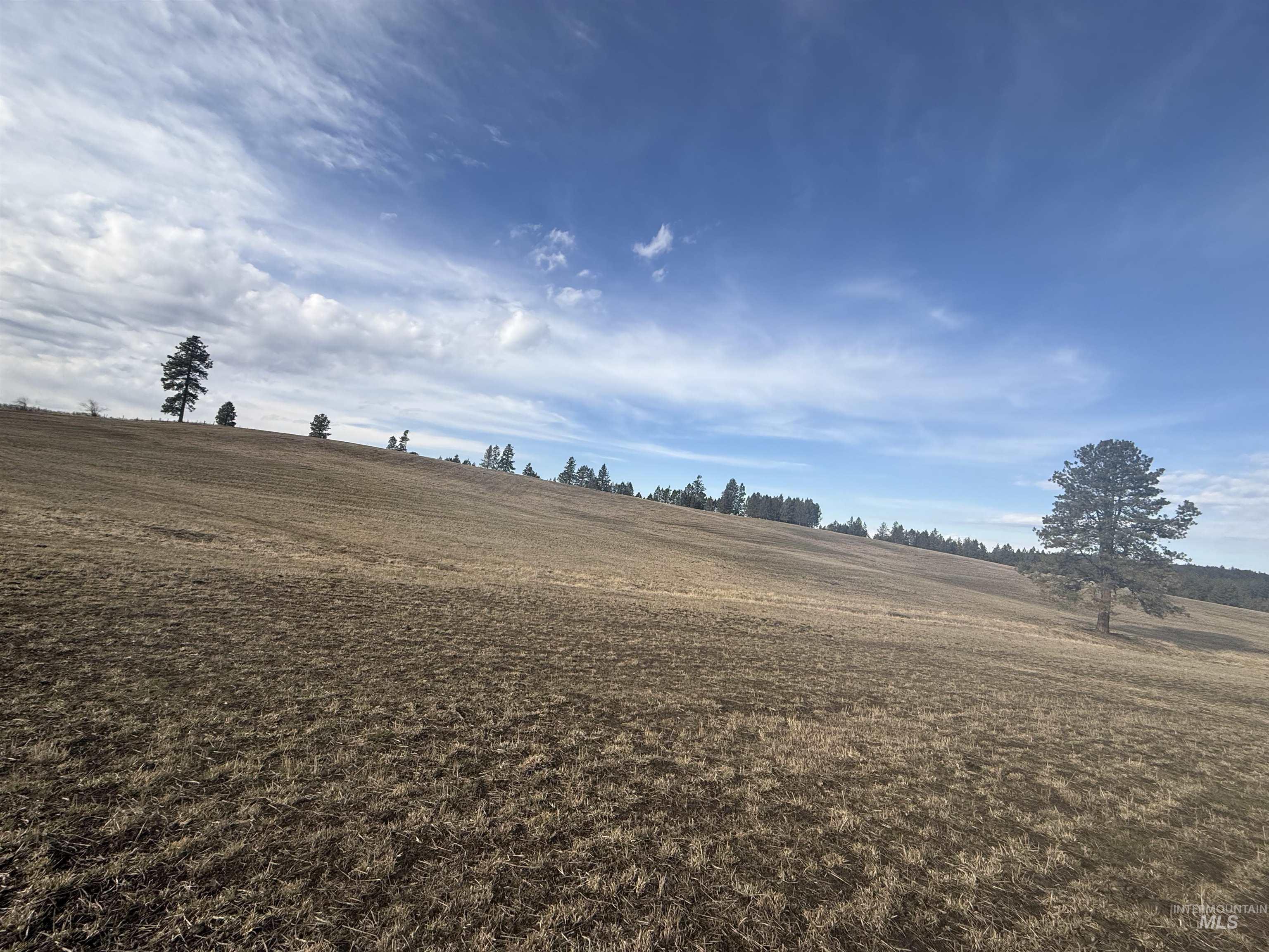 Tbd Rieman Rd Property Photo 47