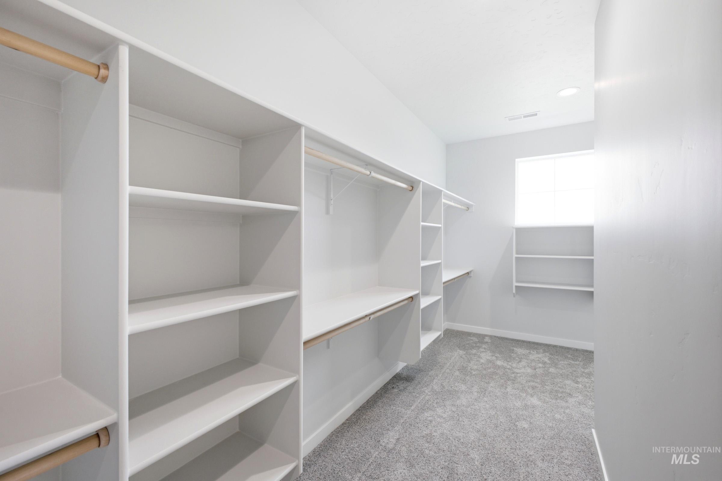 17238 N Swan Springs Pl Property Photo 39